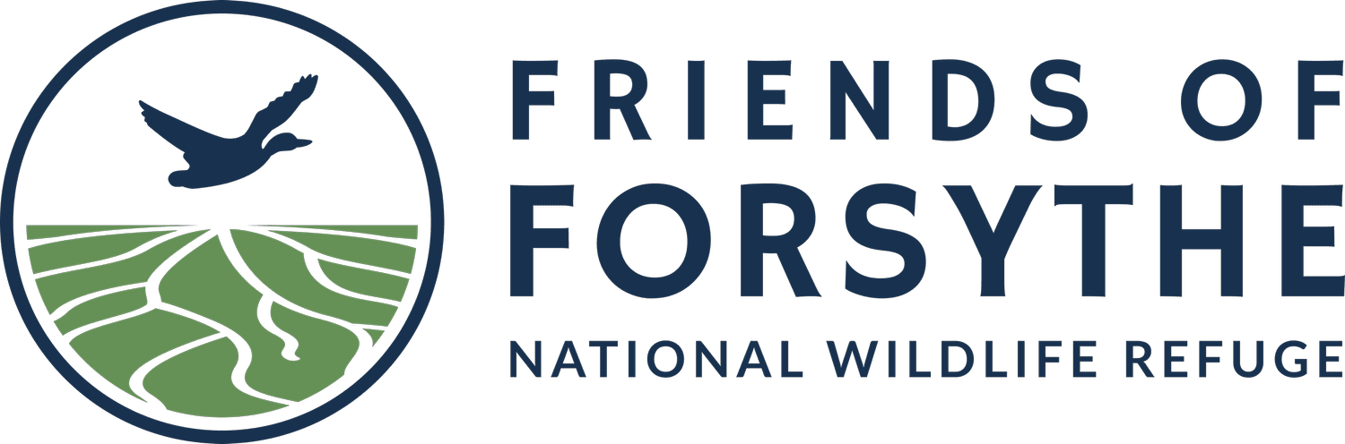 Friends of Forsythe National Wildlife Refuge