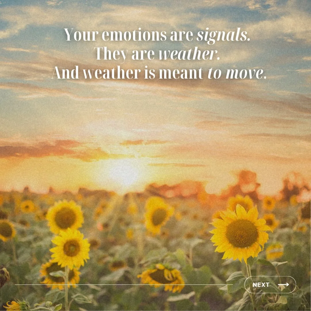 Save this for the next emotional storm.
If you&rsquo;re ready to stop fighting your emotion and start regulating them consciously, DM COACH. 

#emotions #personalgrowth #healingjourney