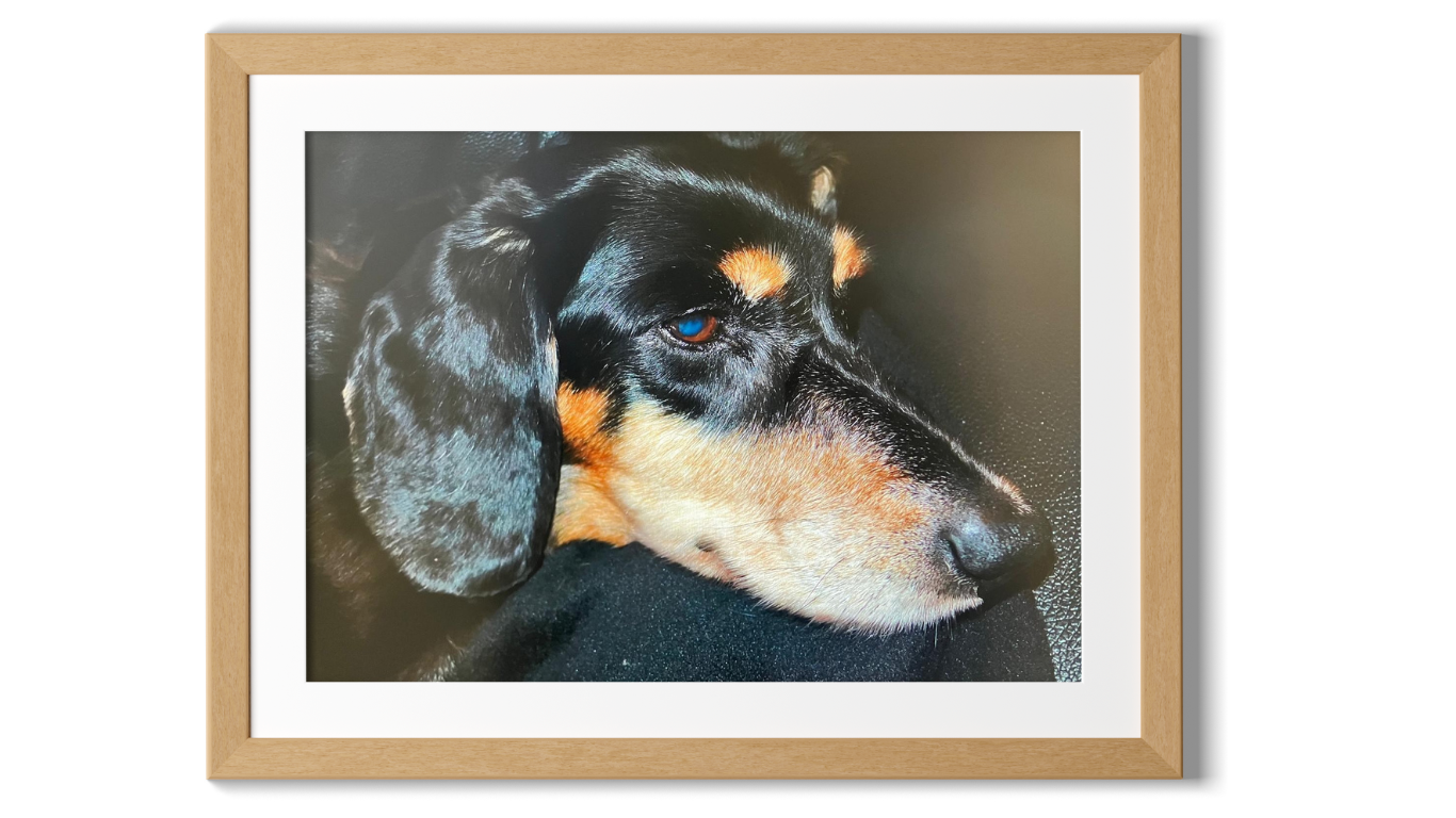 Dirie with D. Schiefer.png