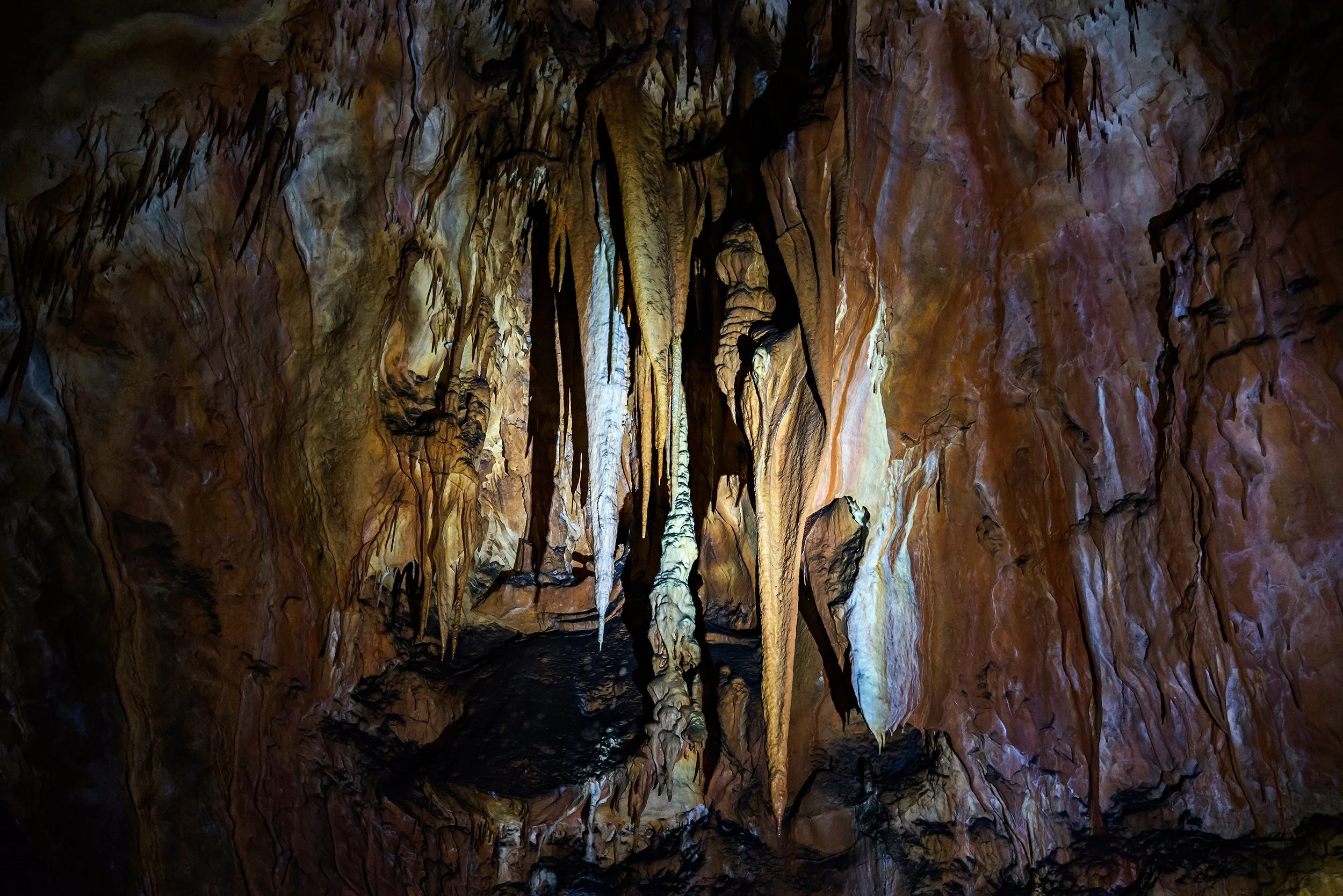 DSC0332.jpg