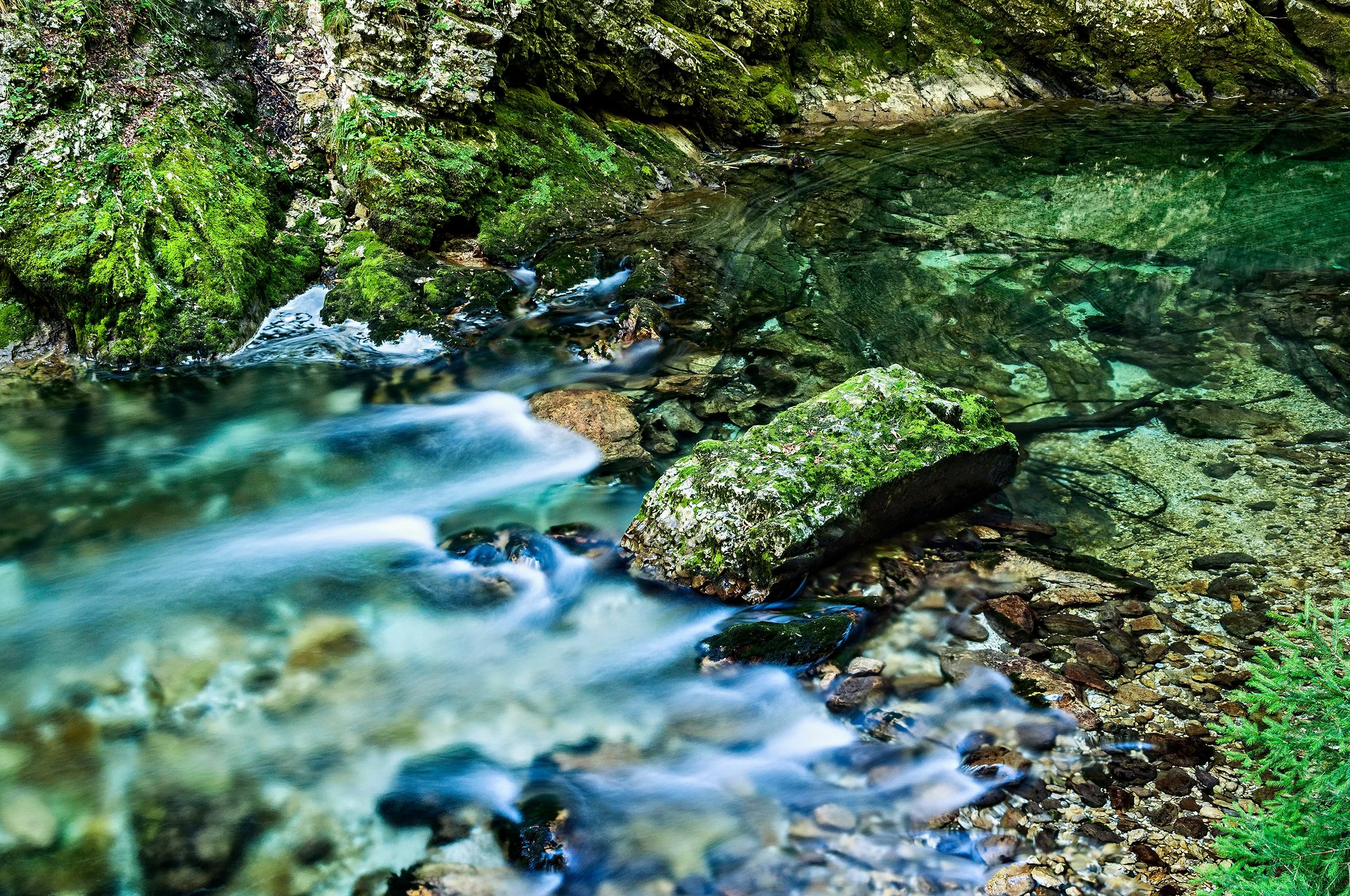 DSC1915.jpg