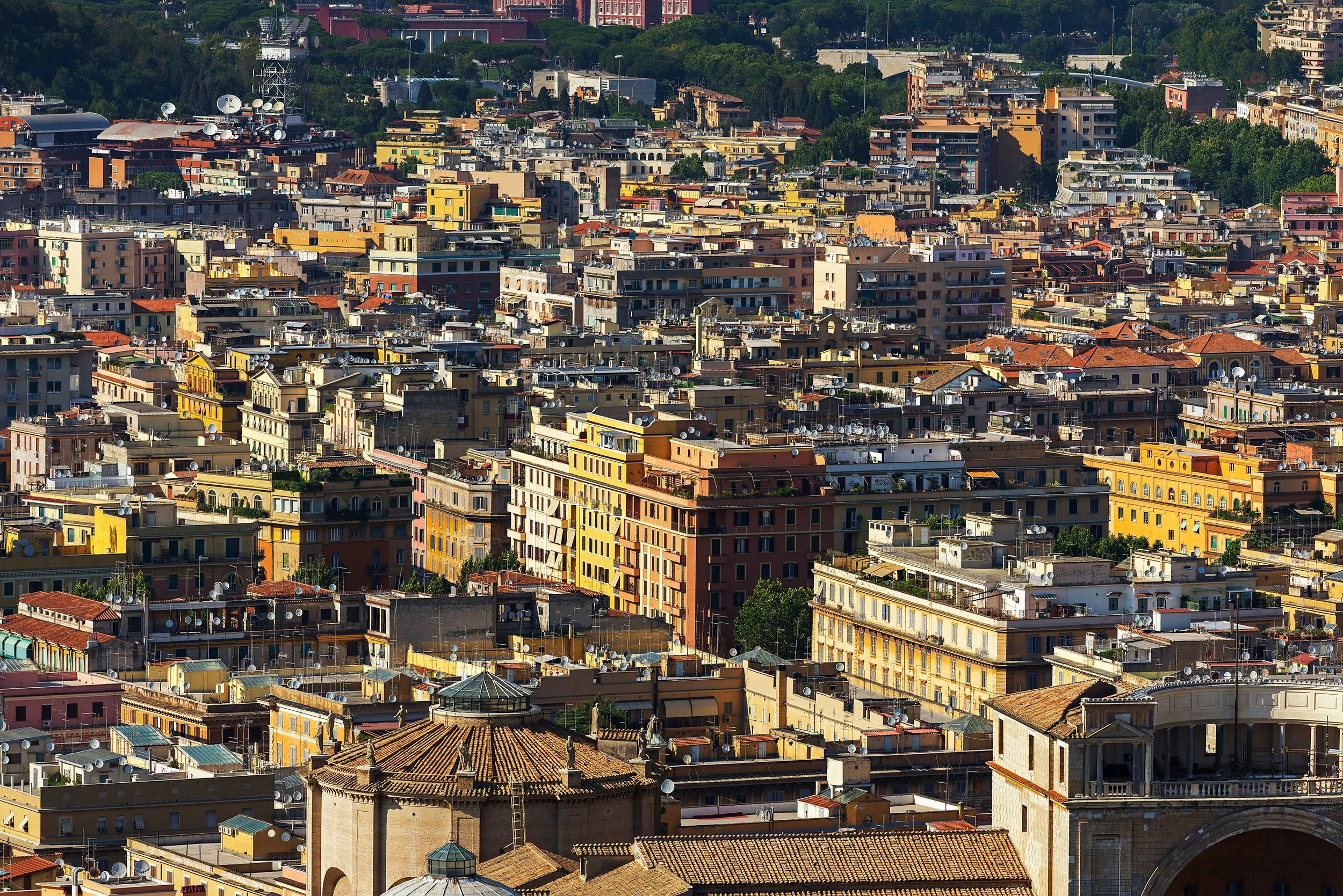 DSC1970.jpg