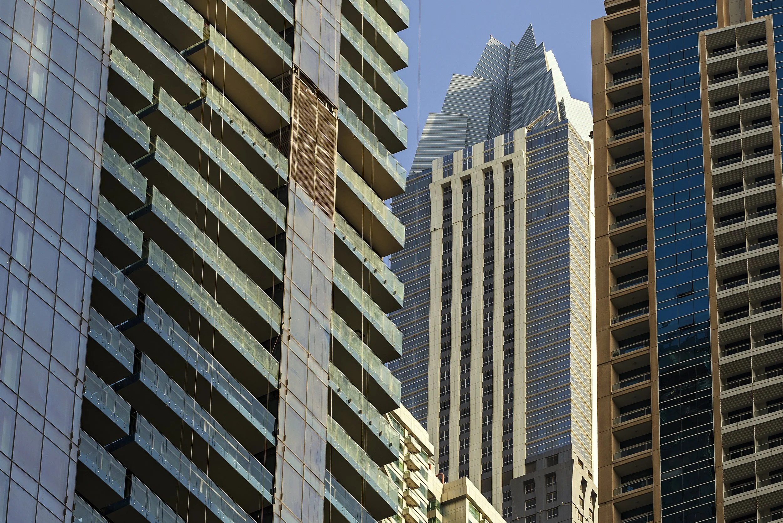 DSC5424.jpg