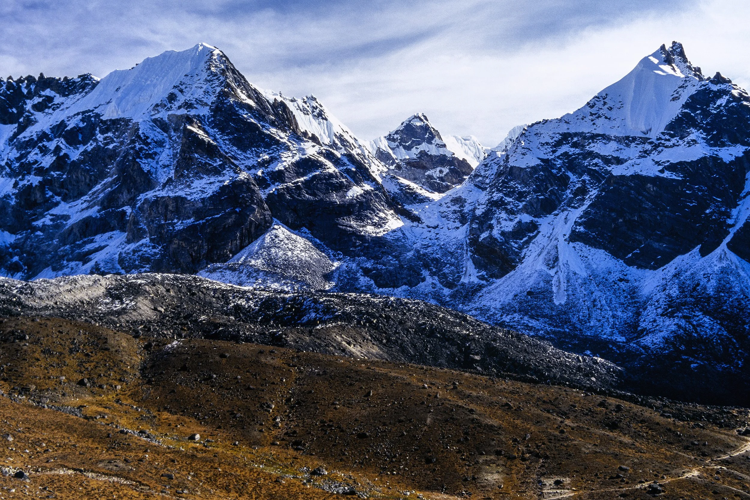46_NPH1132.jpg