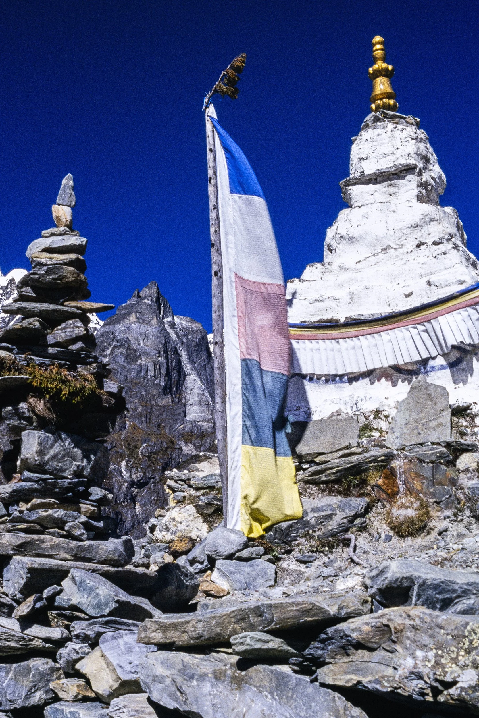 61_NPH0868.jpg