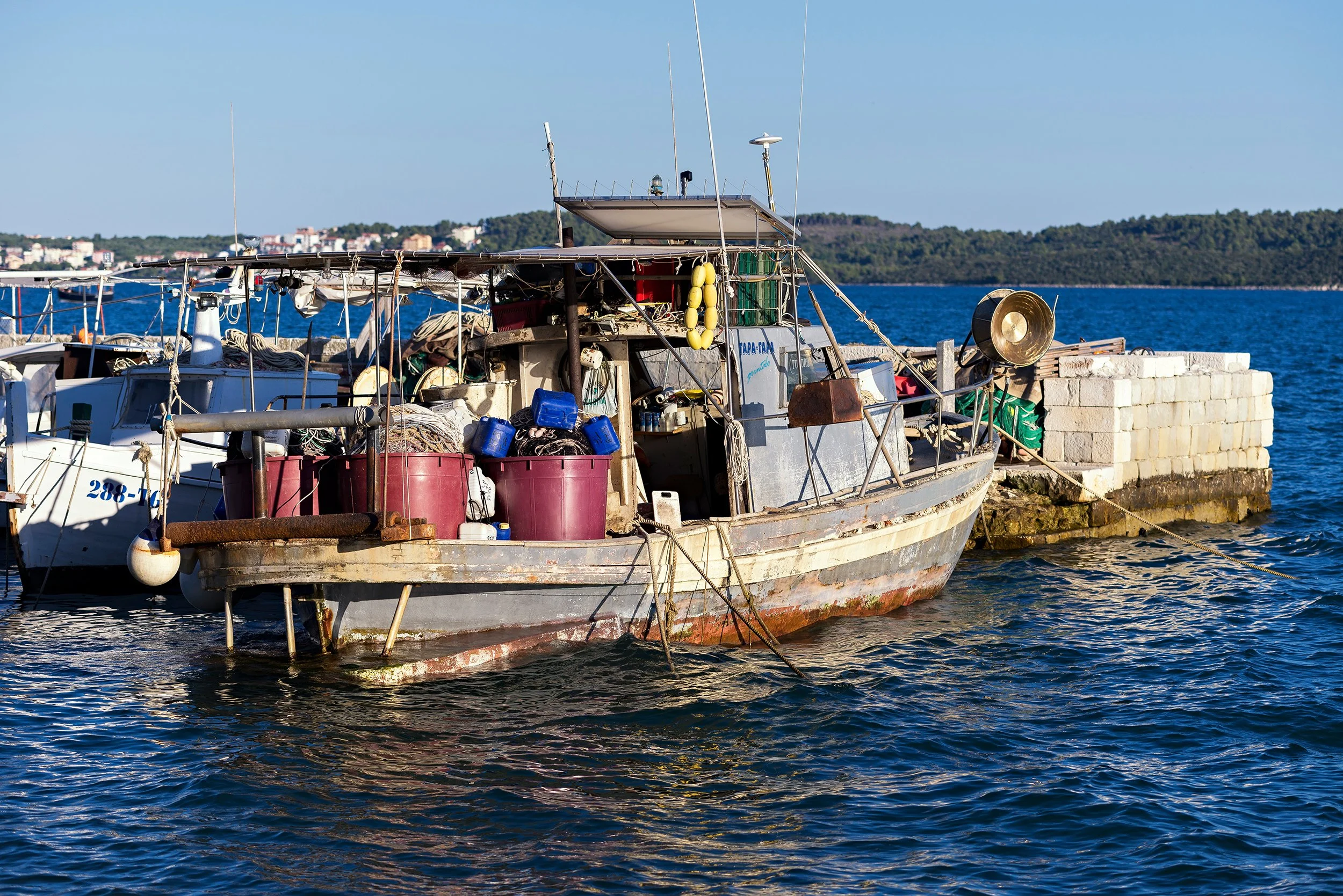 DSC3293.jpg