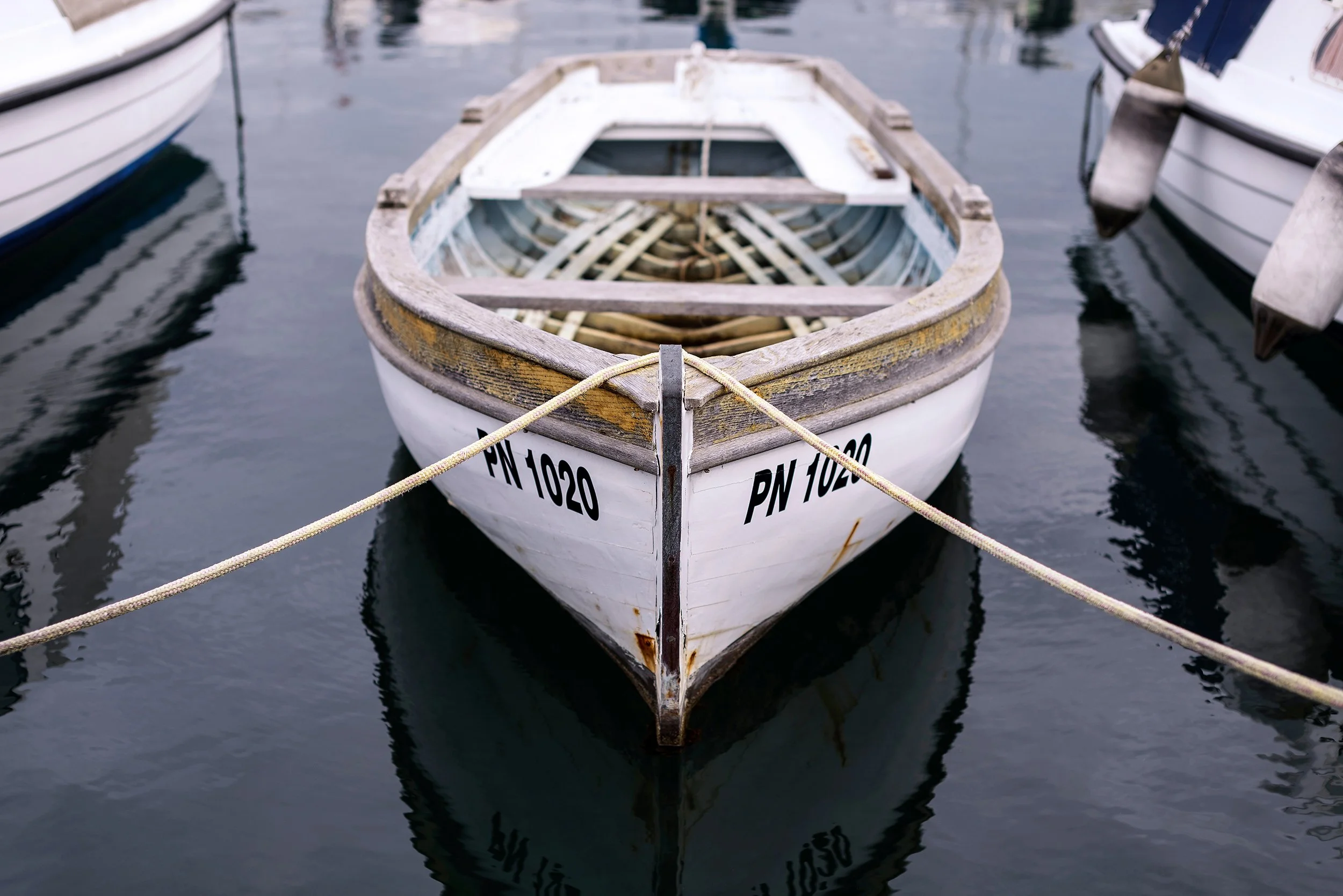 DSC5687.jpg