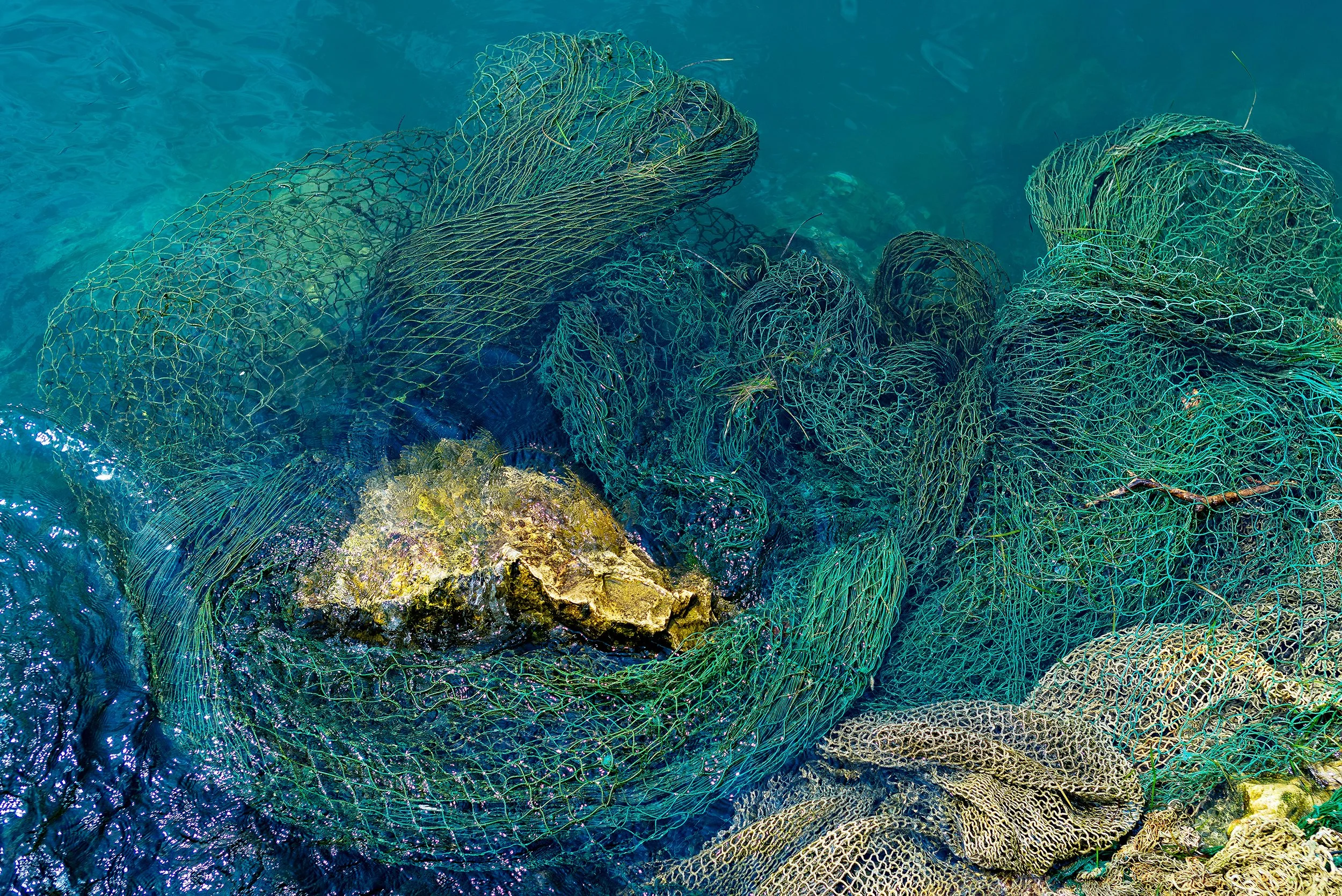 Nature_NP2866.jpg