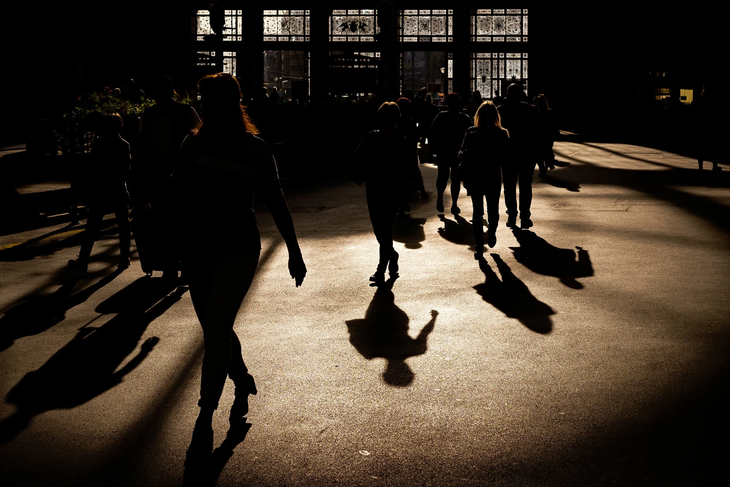 Silhouettes of people walking in an indoor space with large windows, sunlight casting long shadows on the floor.