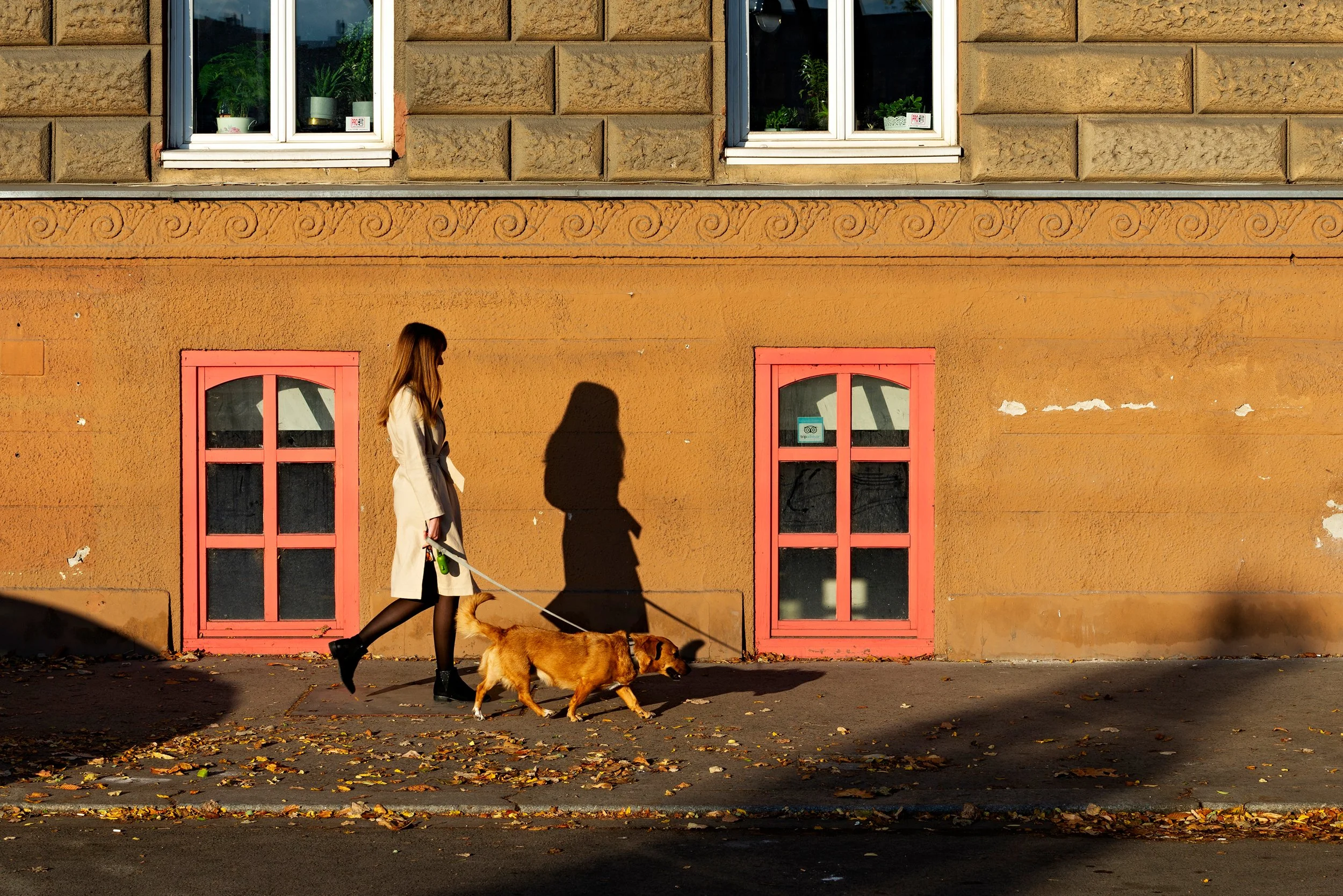 Woman walking a dog along a street with colorful buildings and fallen autumn leaves.