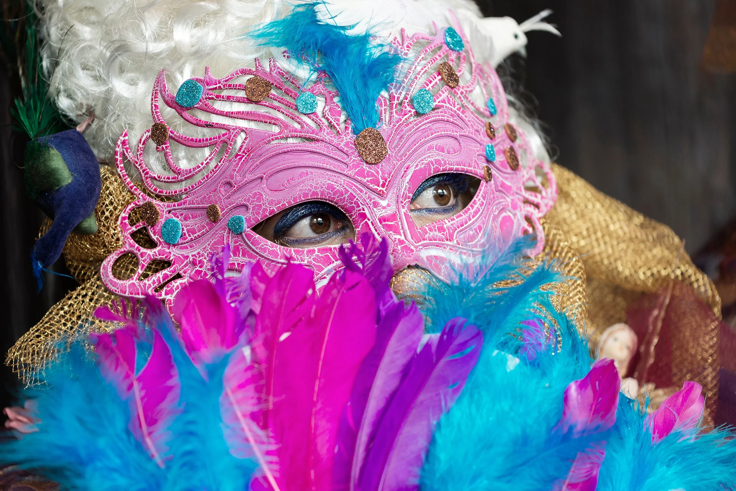 DSC7512.jpg