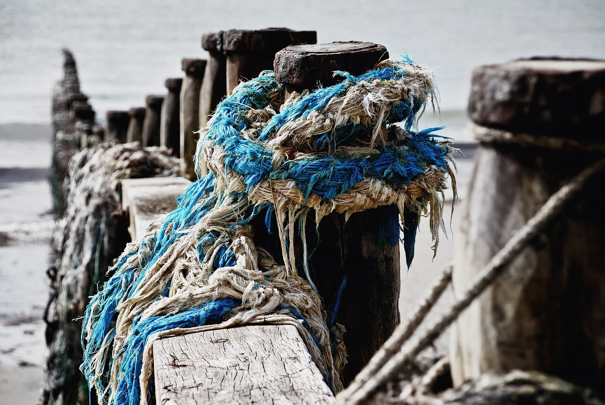 Peter Nemeth photographer. Close-up of weathered wood posts with frayed blue and white ropes tied around them, along a shoreline, with blurred water in the background.