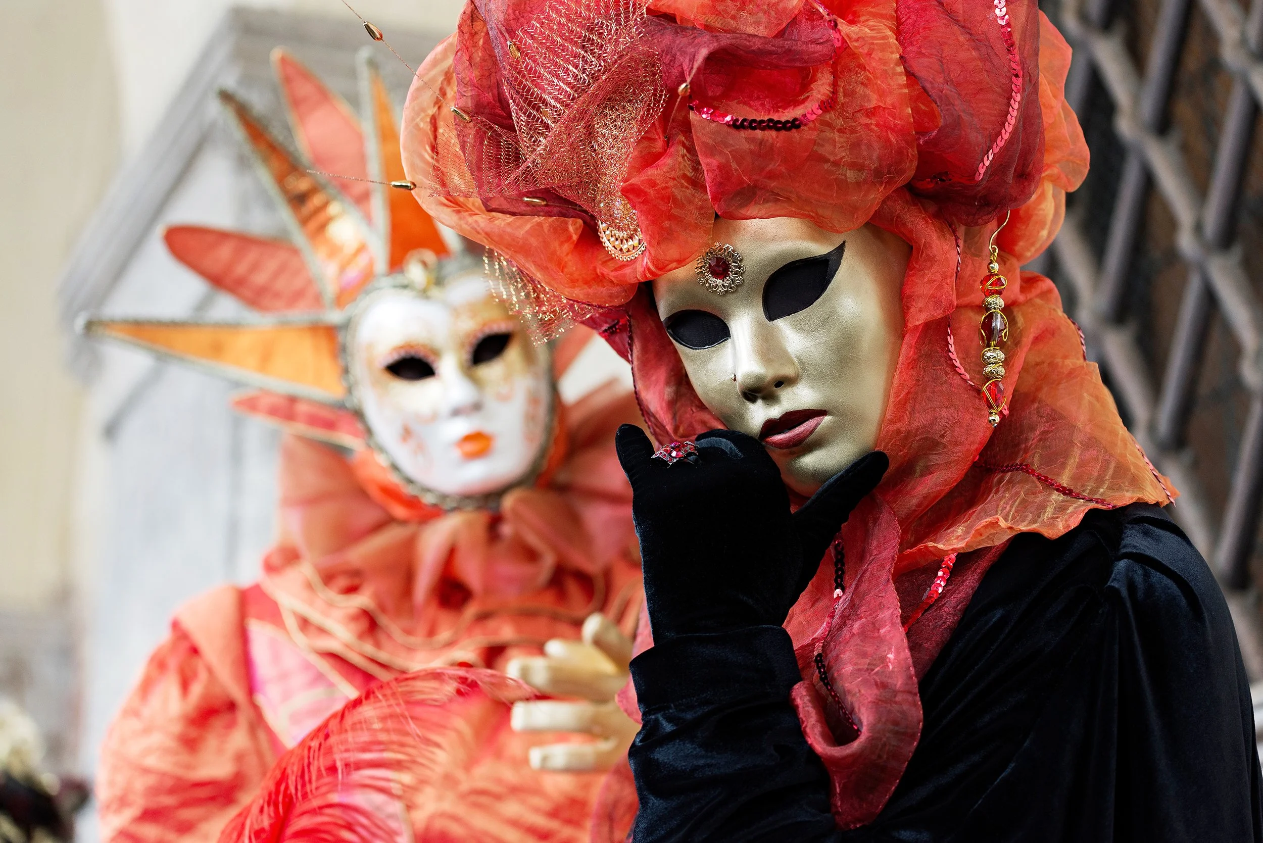DSC7204.jpg