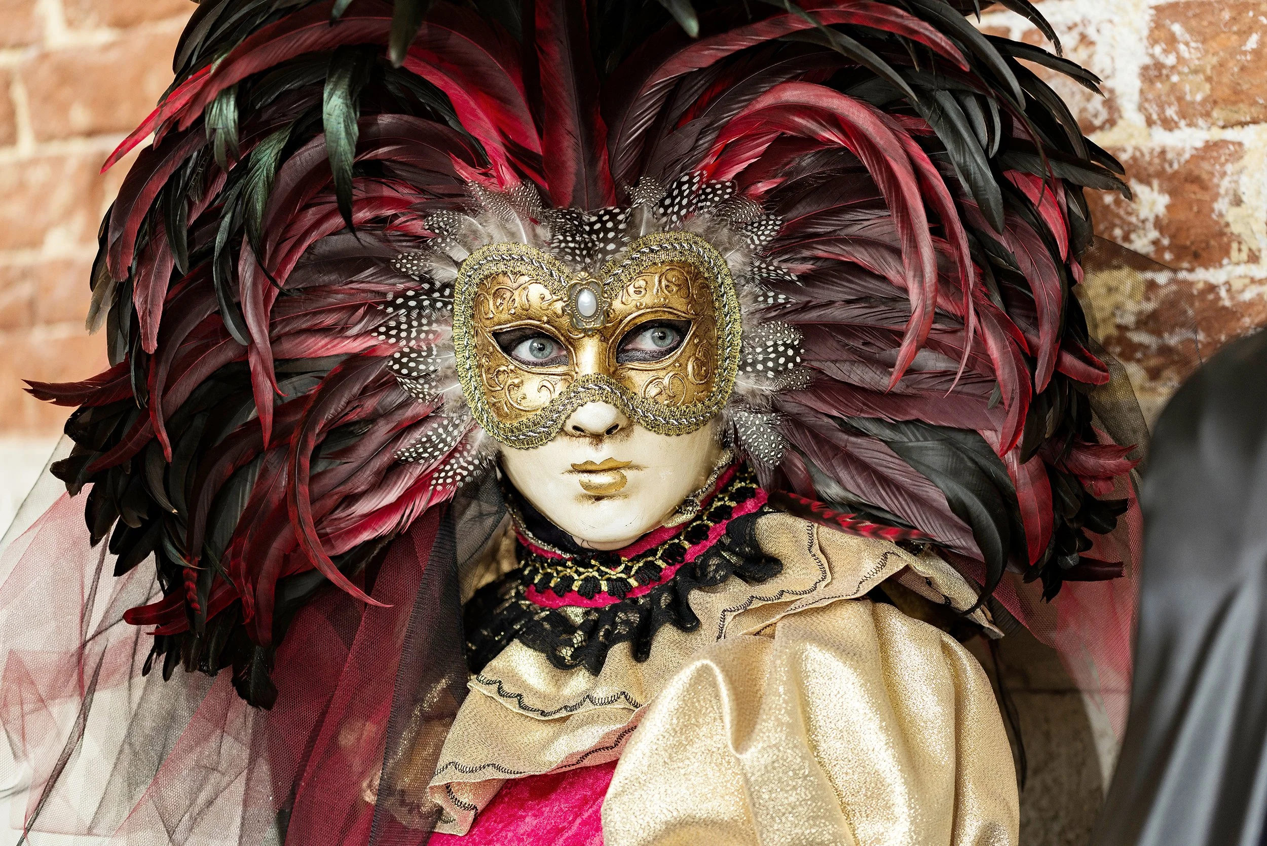 DSC7244.jpg