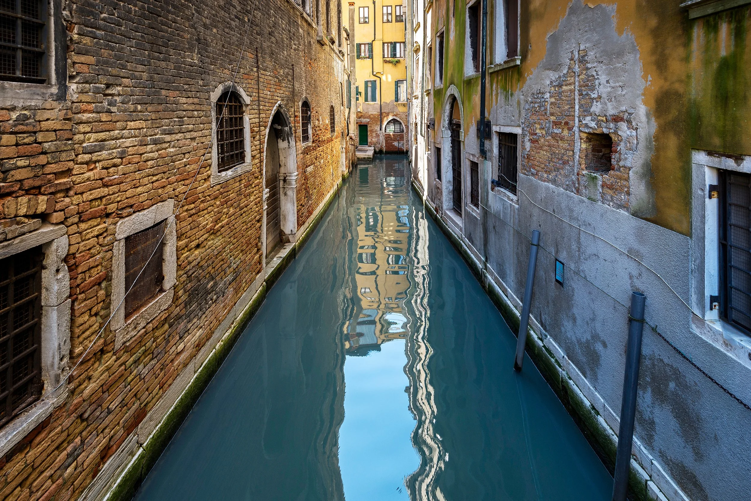 DSC3474.jpg