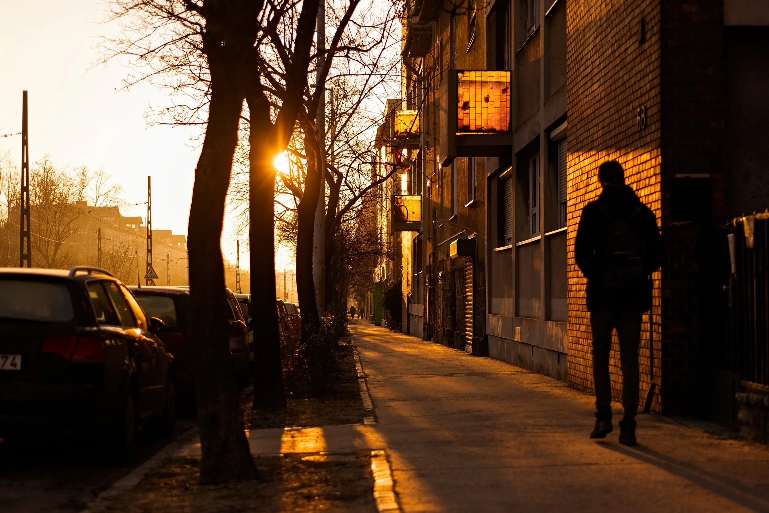 A city street during sunset with a person walking along the sidewalk, parked cars, leafless trees, and illuminated building windows.