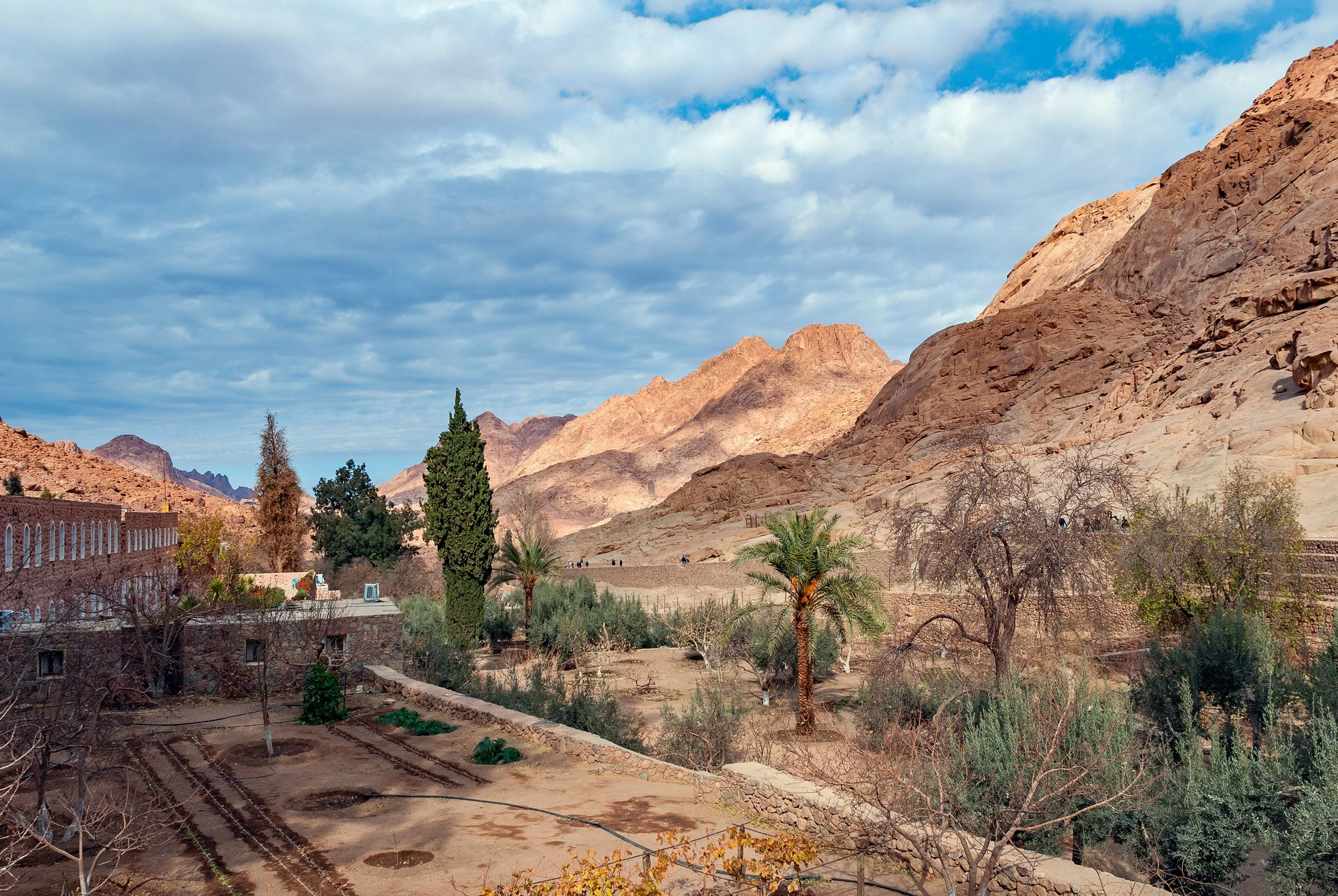 PeterNemeth_Sinai_DSC_0166.jpg