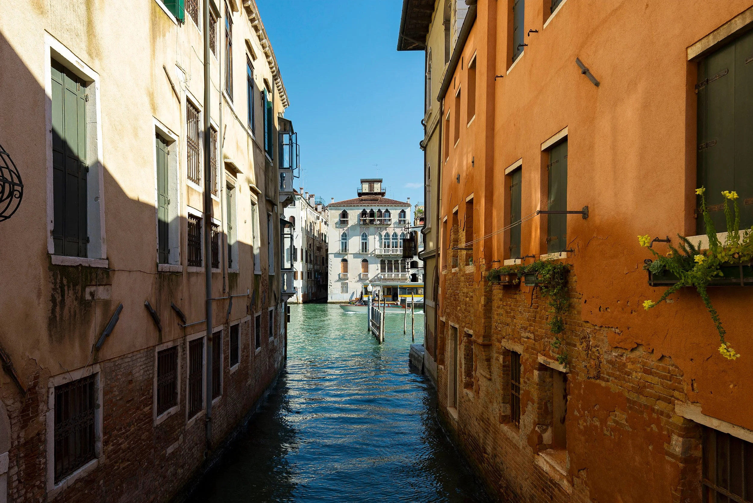 DSC3381.jpg