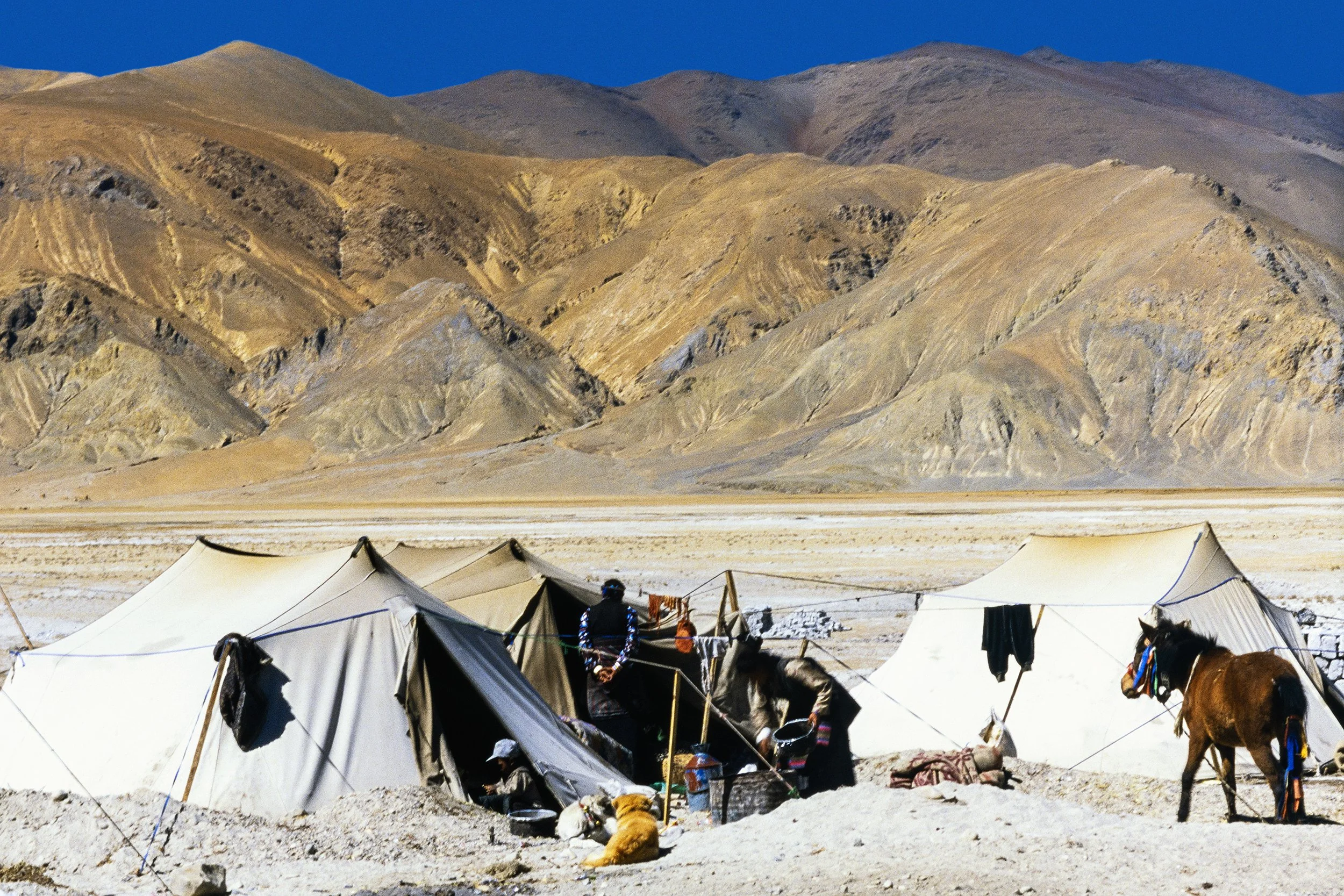 100_NPH1220.jpg