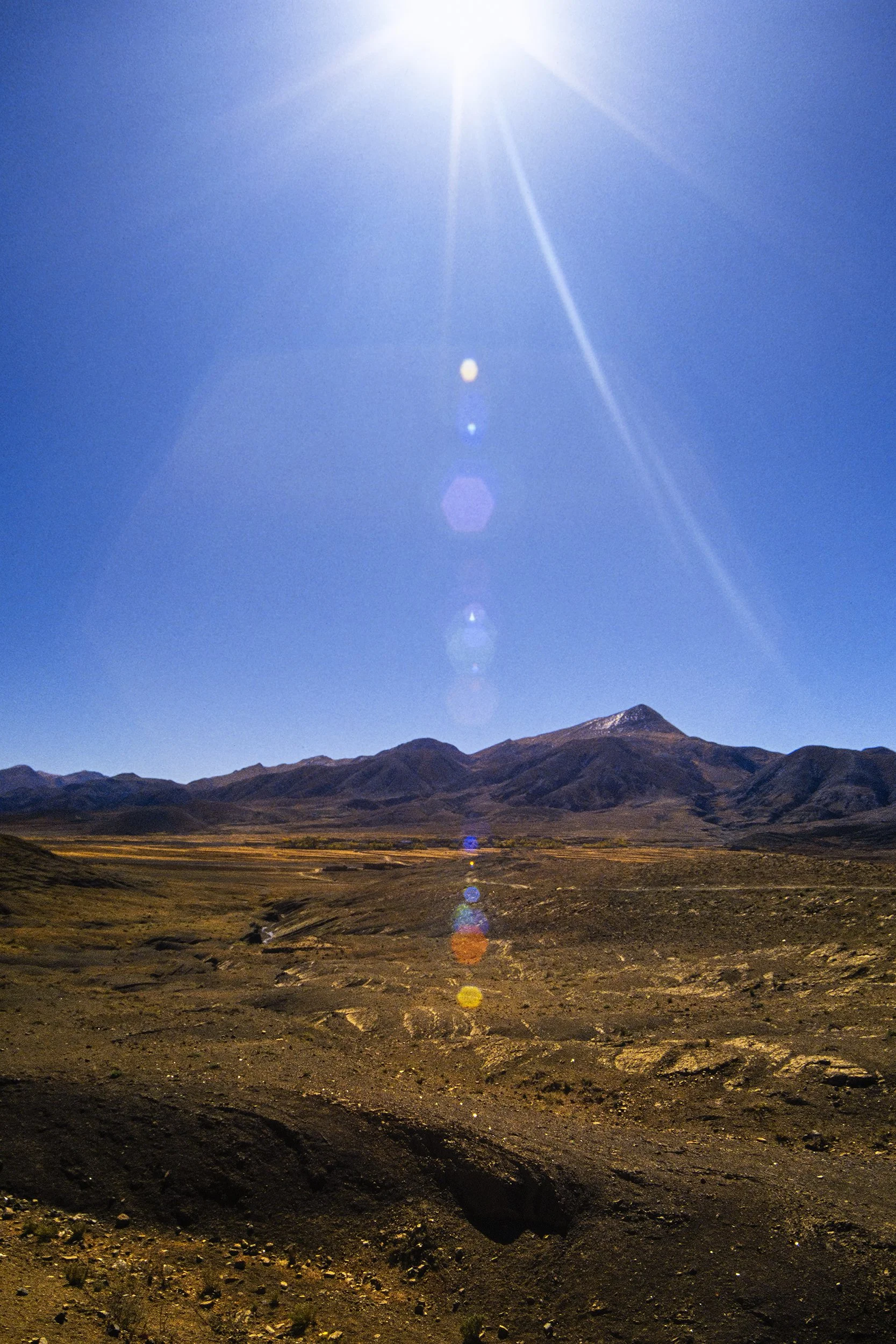 98_NPH0843.jpg