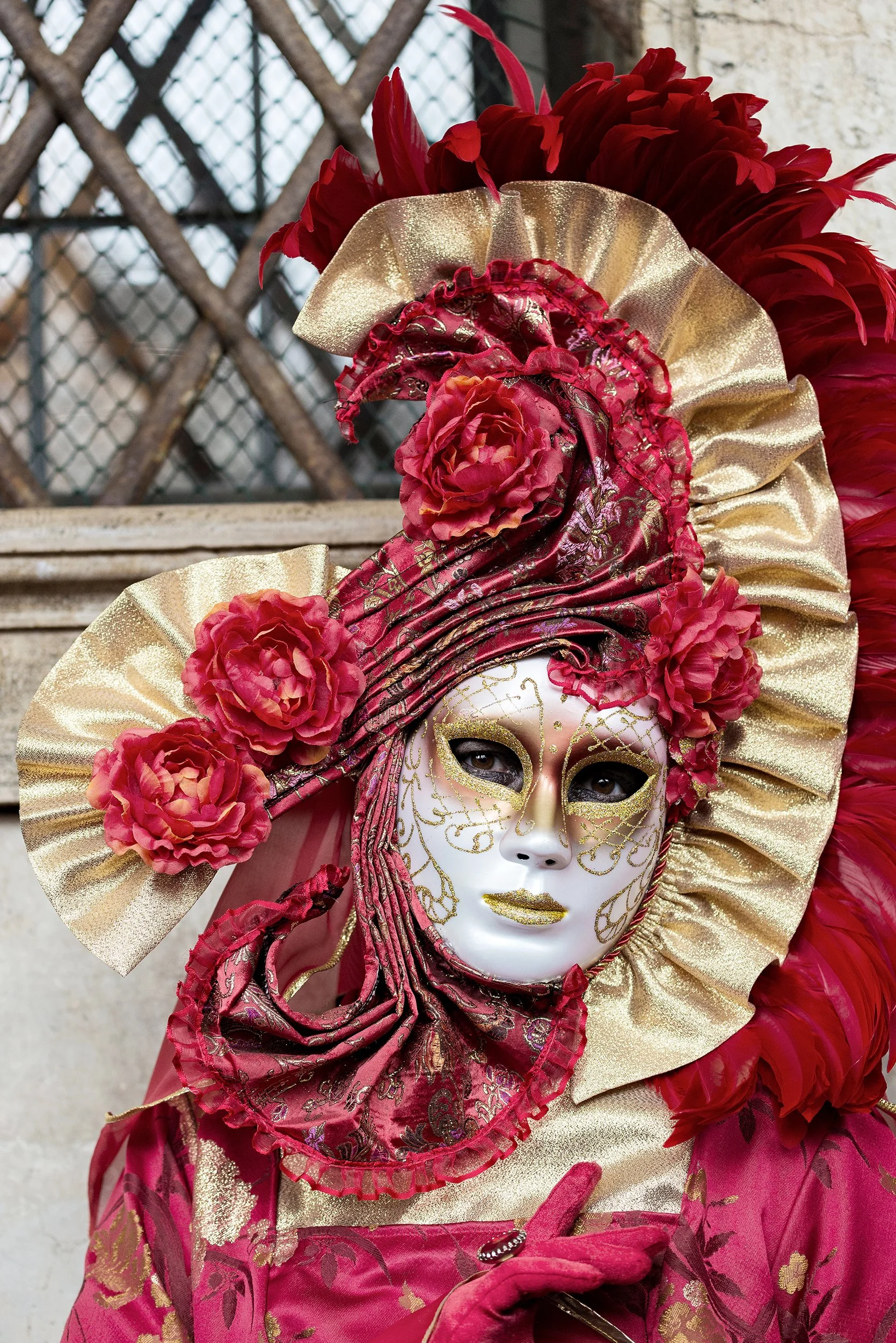 DSC7240.jpg