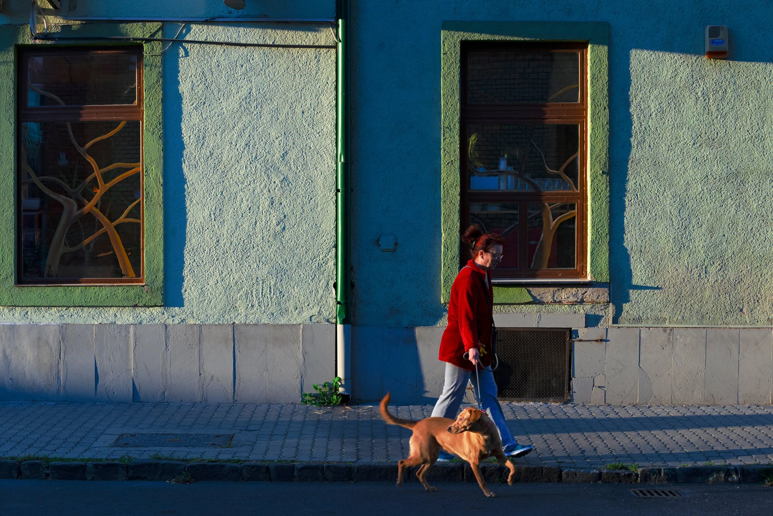 A woman with red hair wearing a red coat walks a dog with reddish-brown fur along a sidewalk in front of a green building with two windows. The building has textured walls, and the sunlight casts shadows on its surface.