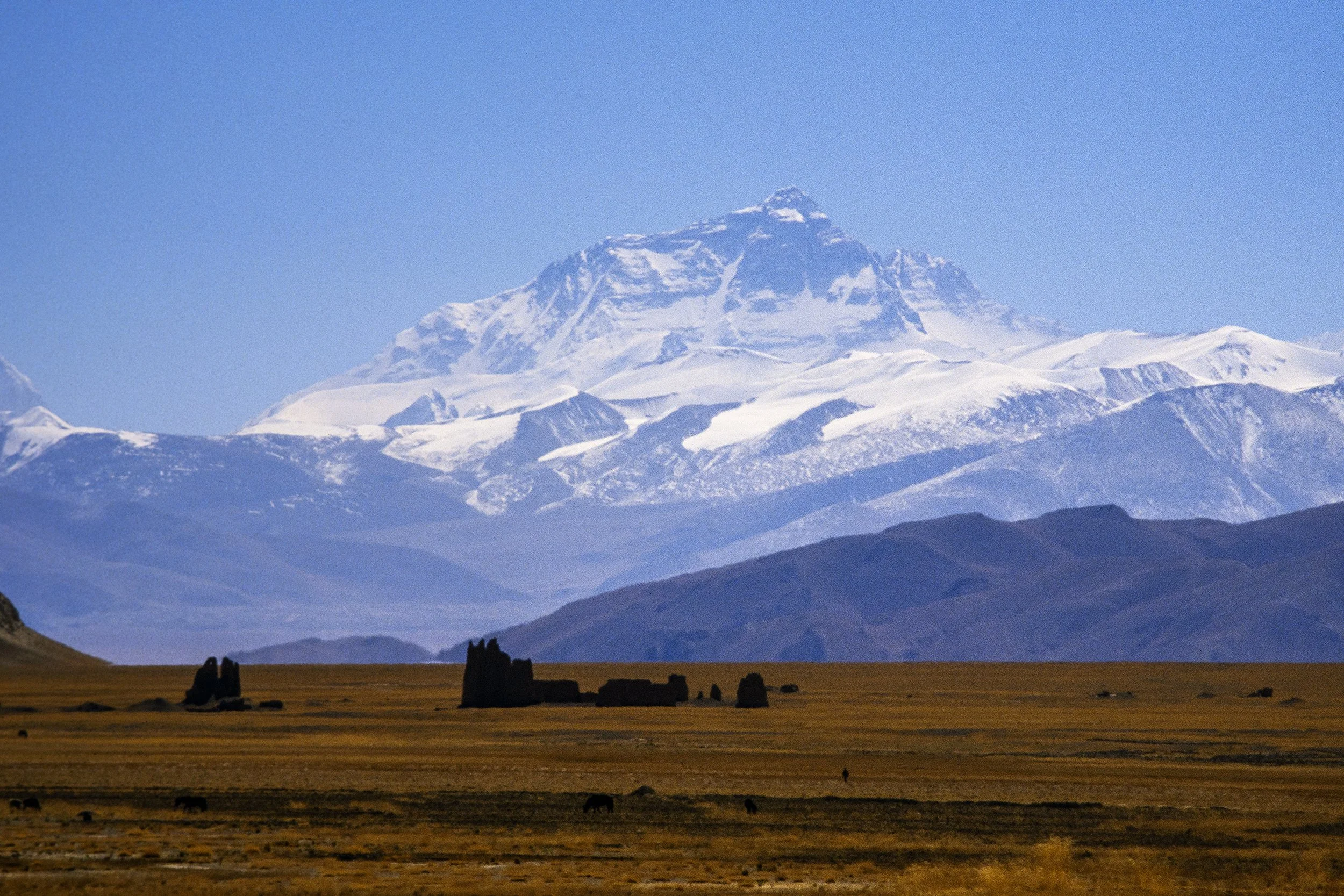 138_NPH0906.jpg