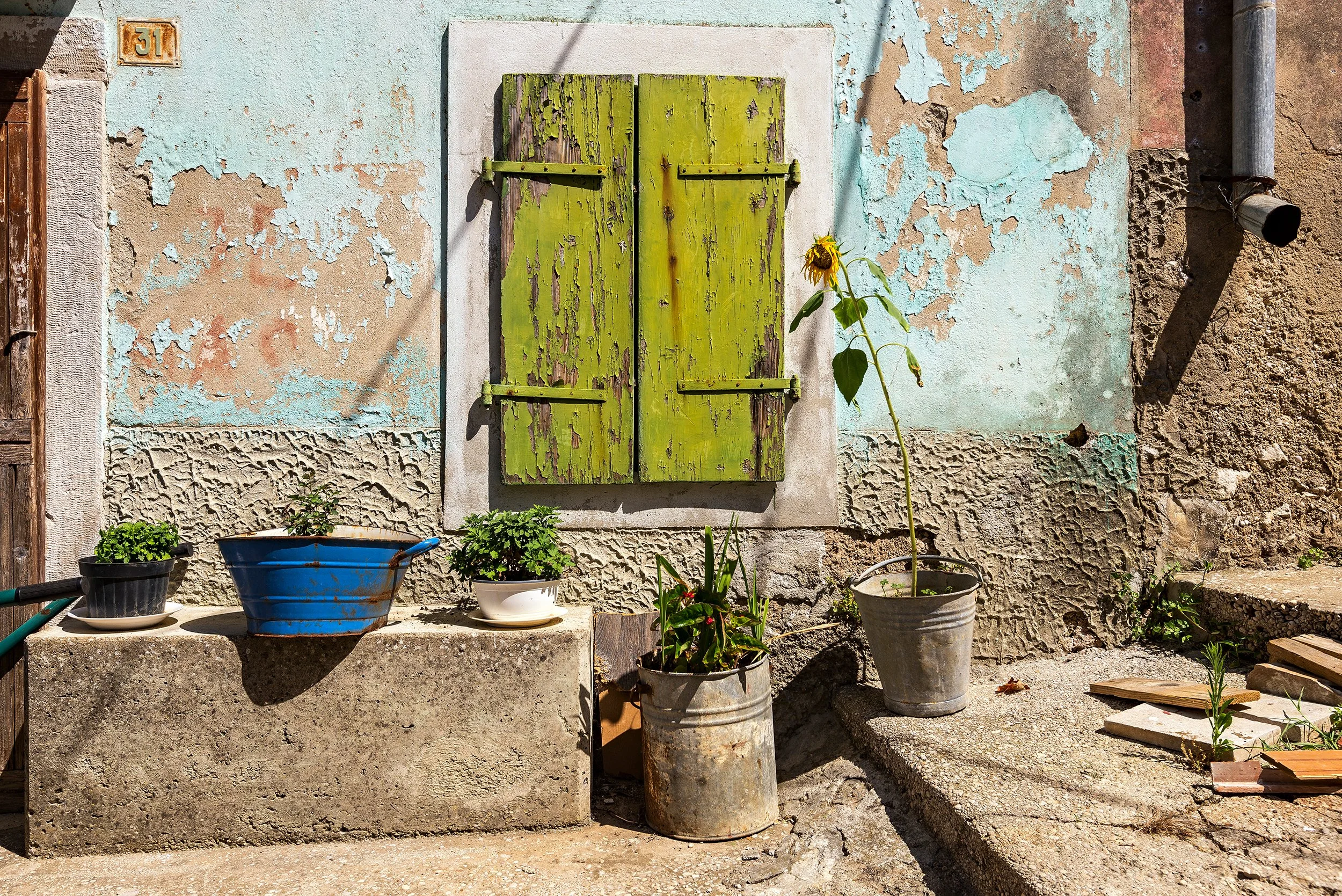 A weathered wall with peeling blue paint and a window with closed, aged green shutters. In front, various potted plants are arranged on a stone ledge and the ground, including a sunflower, a small green plant, and other greenery in black, white, and 