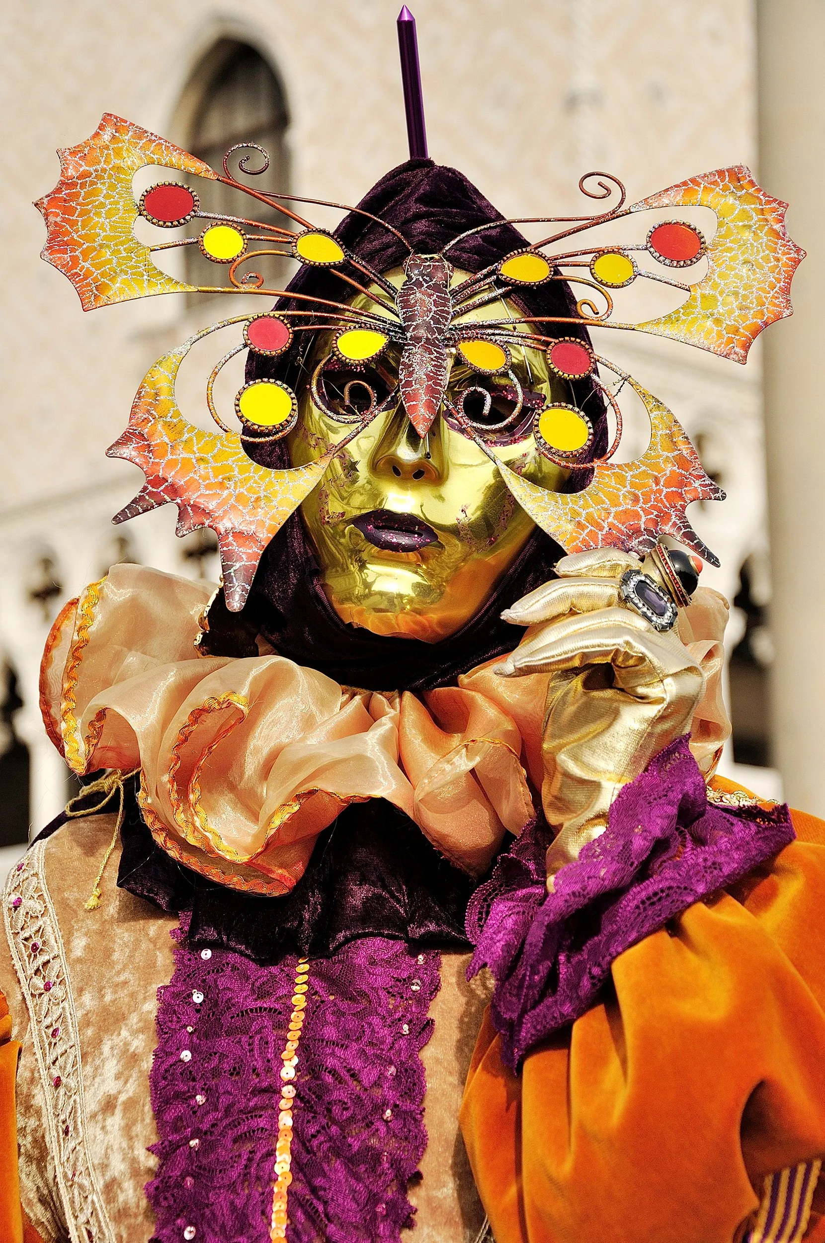 DSC1294.jpg