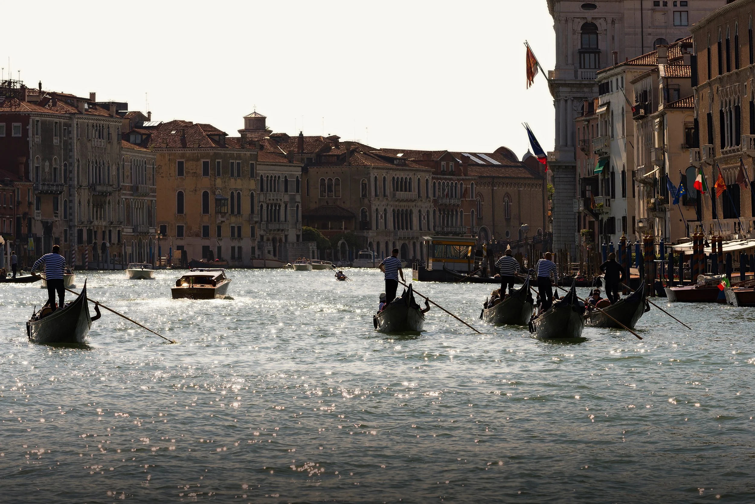 DSC2742.jpg
