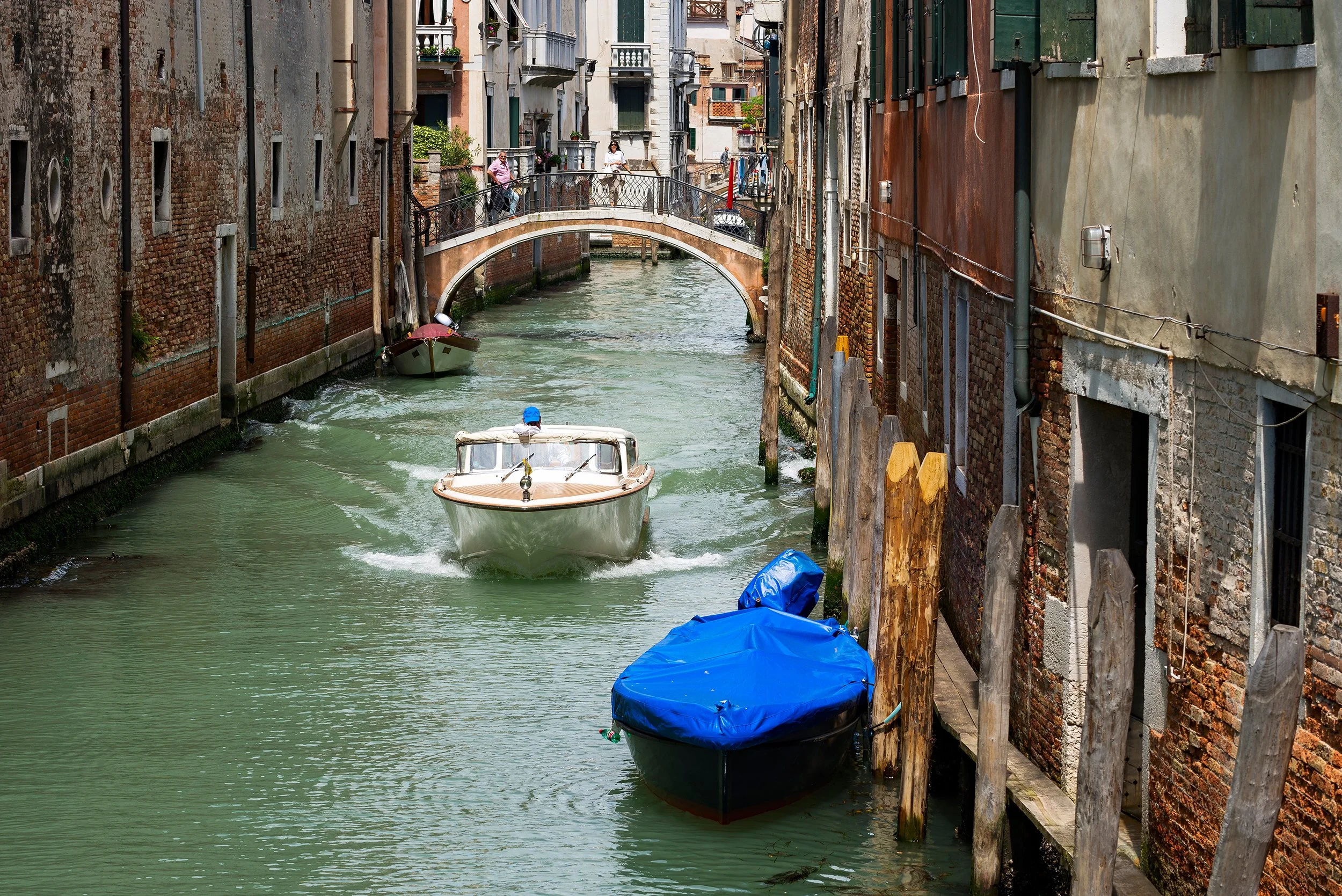 DSC2623.jpg