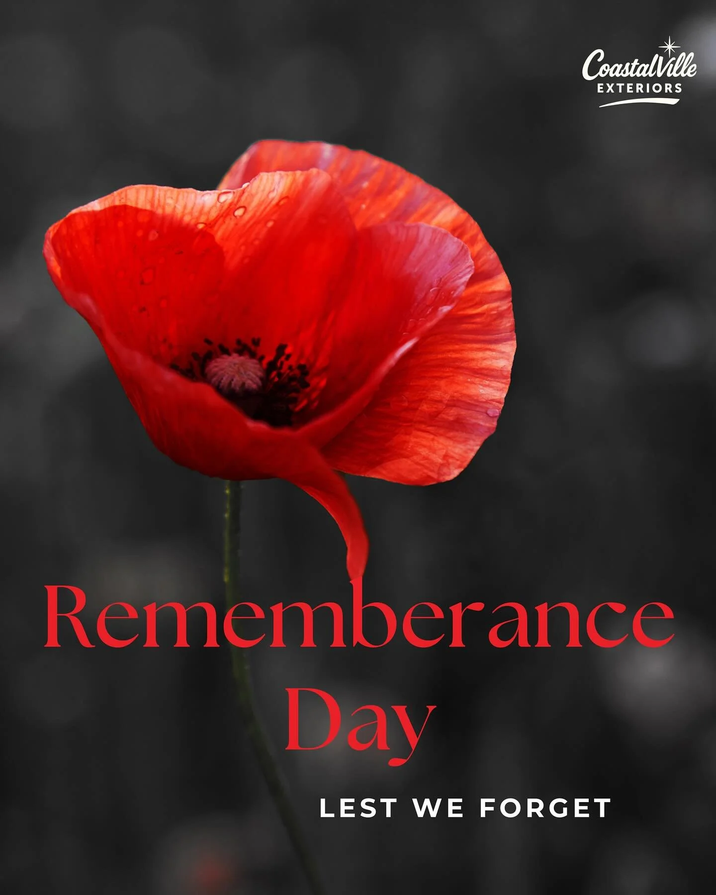 For those who served. For those we lost. For those who still carry the weight.
Lest we forget. 🌺