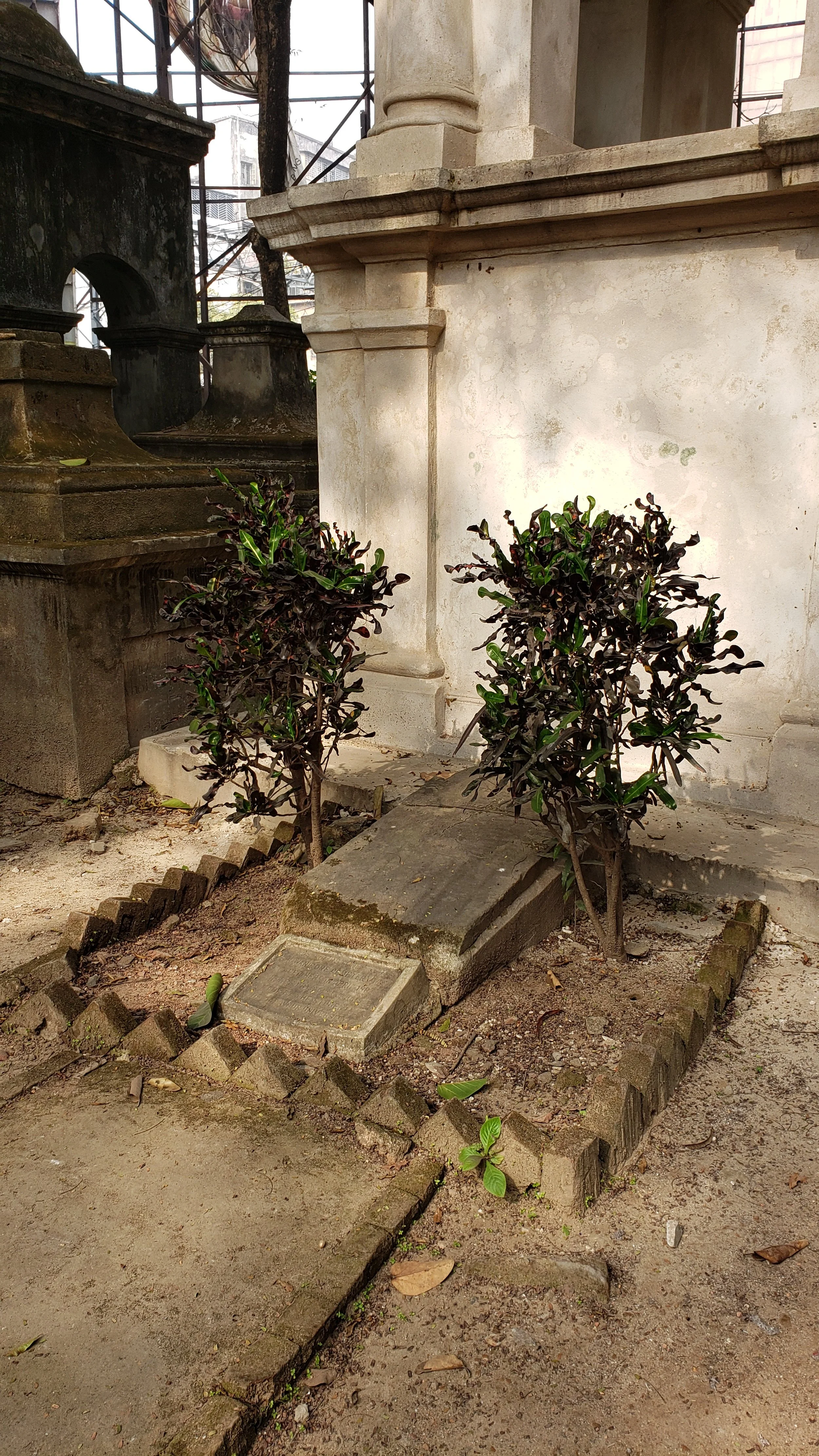 Looking for Walter Landor Dickens