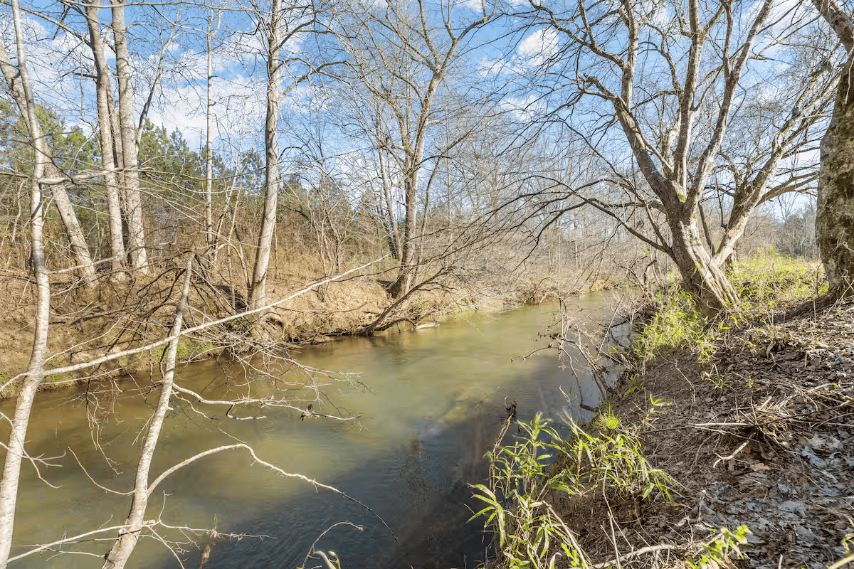 A calm creek flowing through a wooded area in early spring, with leafless trees on either side and some green grass and small plants on the bank.