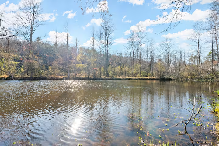 A calm pond with ripples, surrounded by leafless trees under a partly cloudy sky.