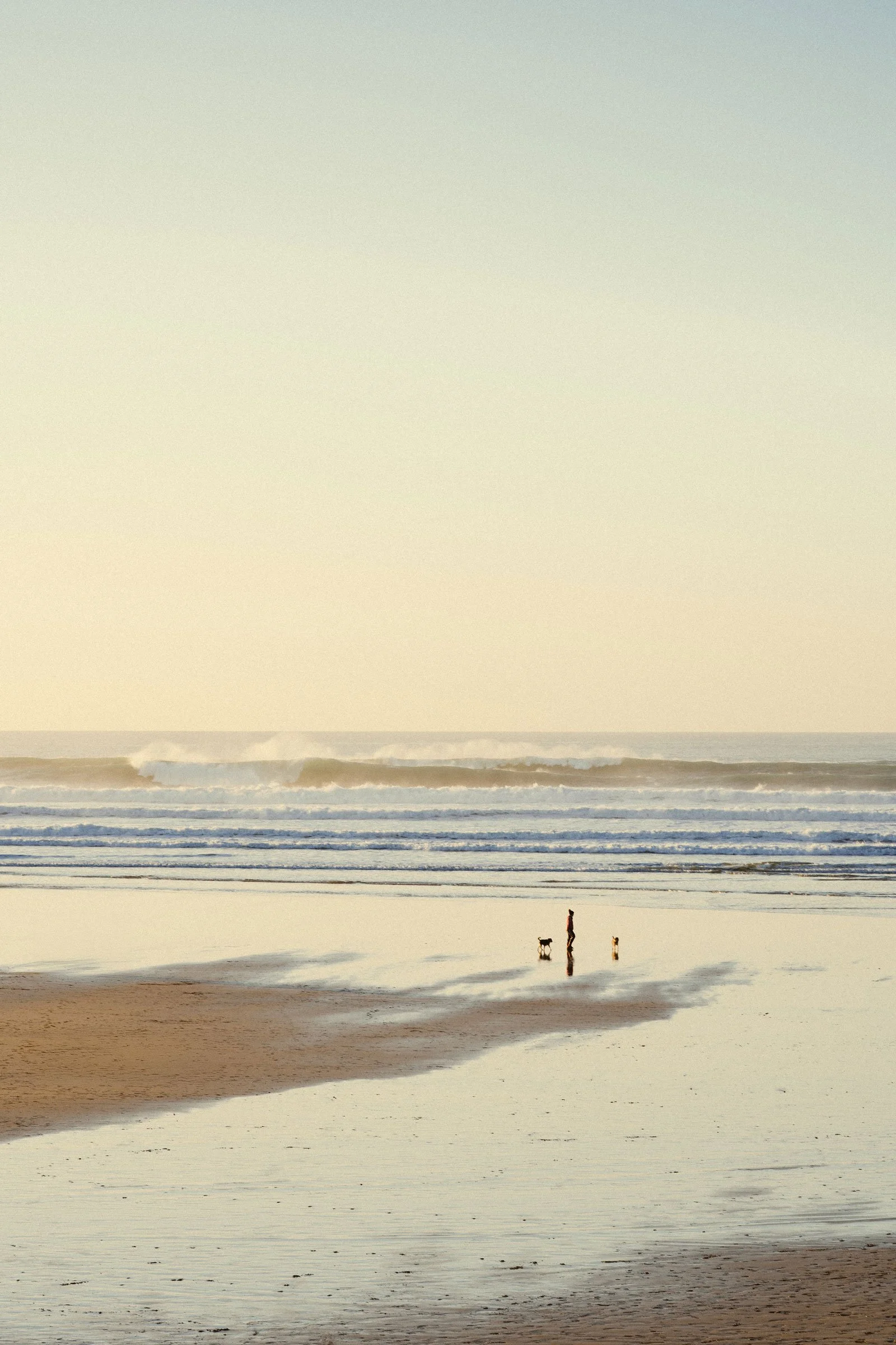 A person walking along the shoreline with two dogs during sunset on a beach, with waves rolling in the background.