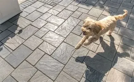 What Landscape Design Looks Like in Chicagoland Homes