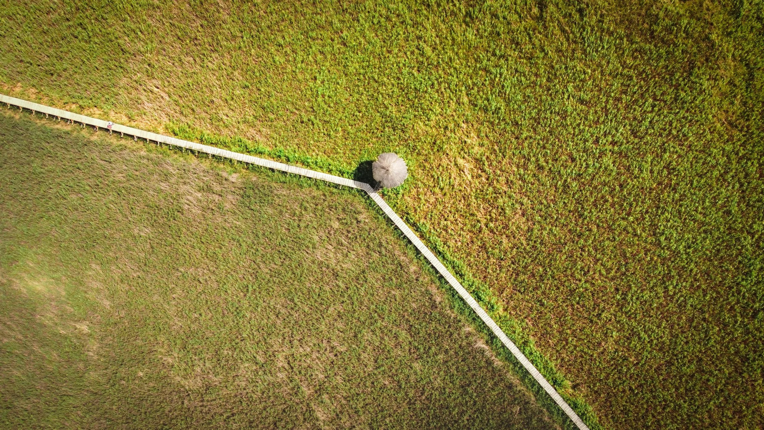The Cost of a Misaligned Team And How to Fix It Fast