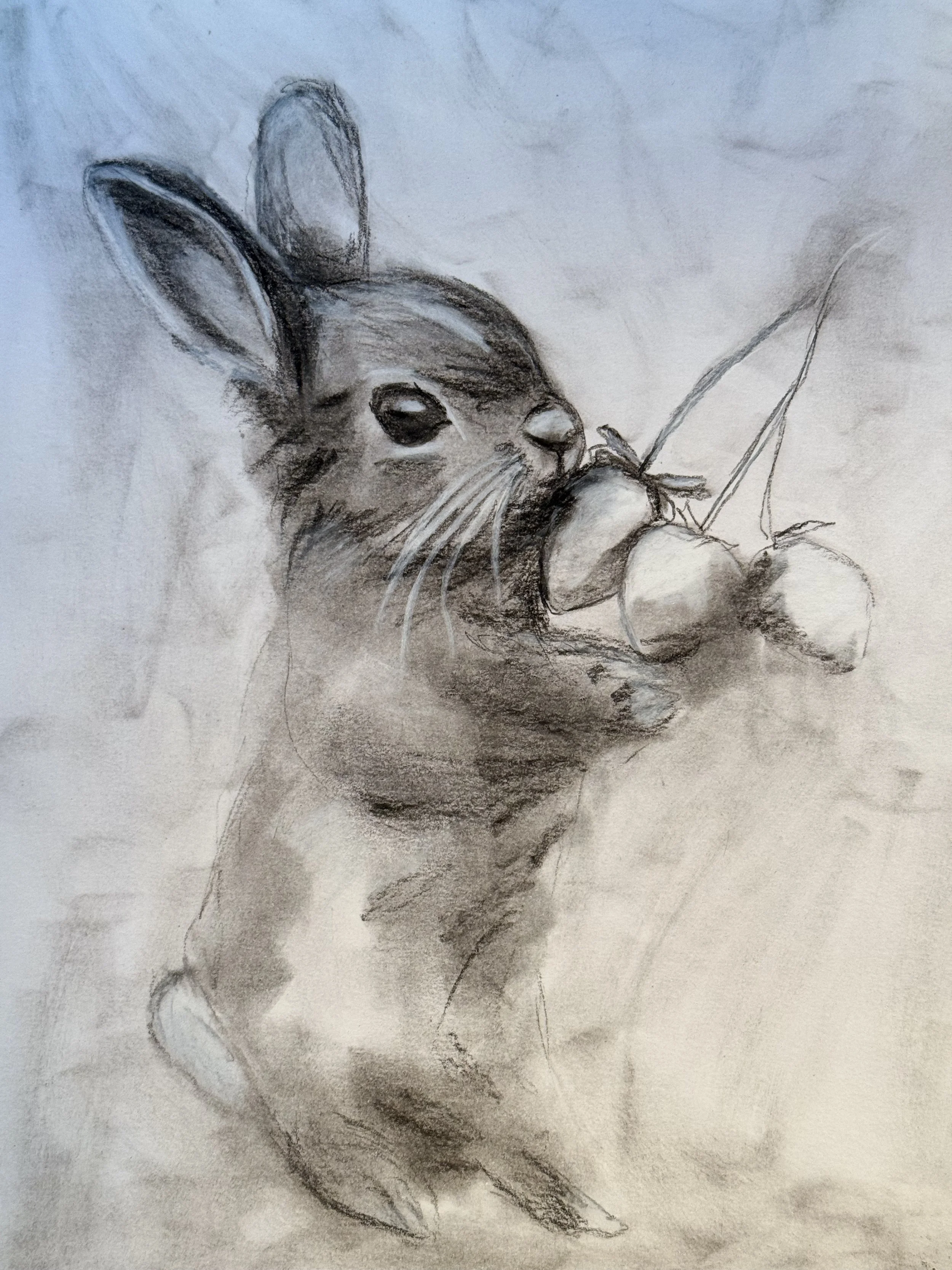 lil bunny sketch.jpg
