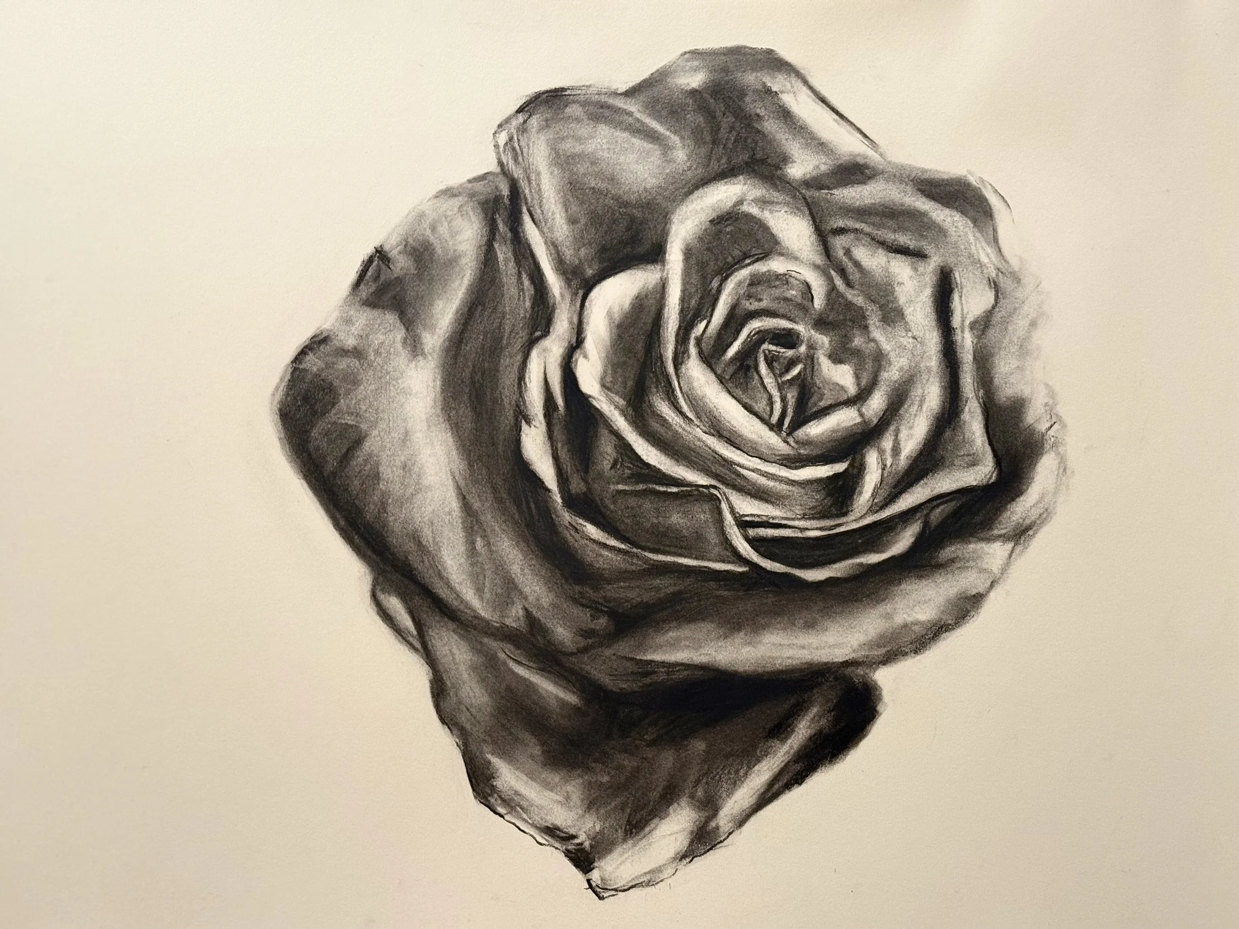 ethereal charcoal rose.jpg
