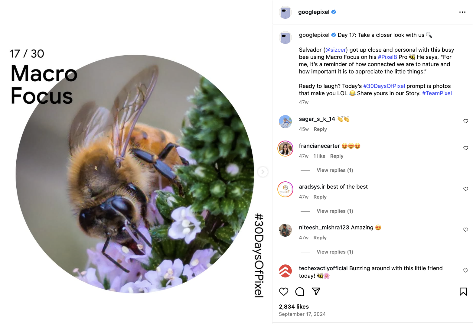 Post design and copy for Day 17/30