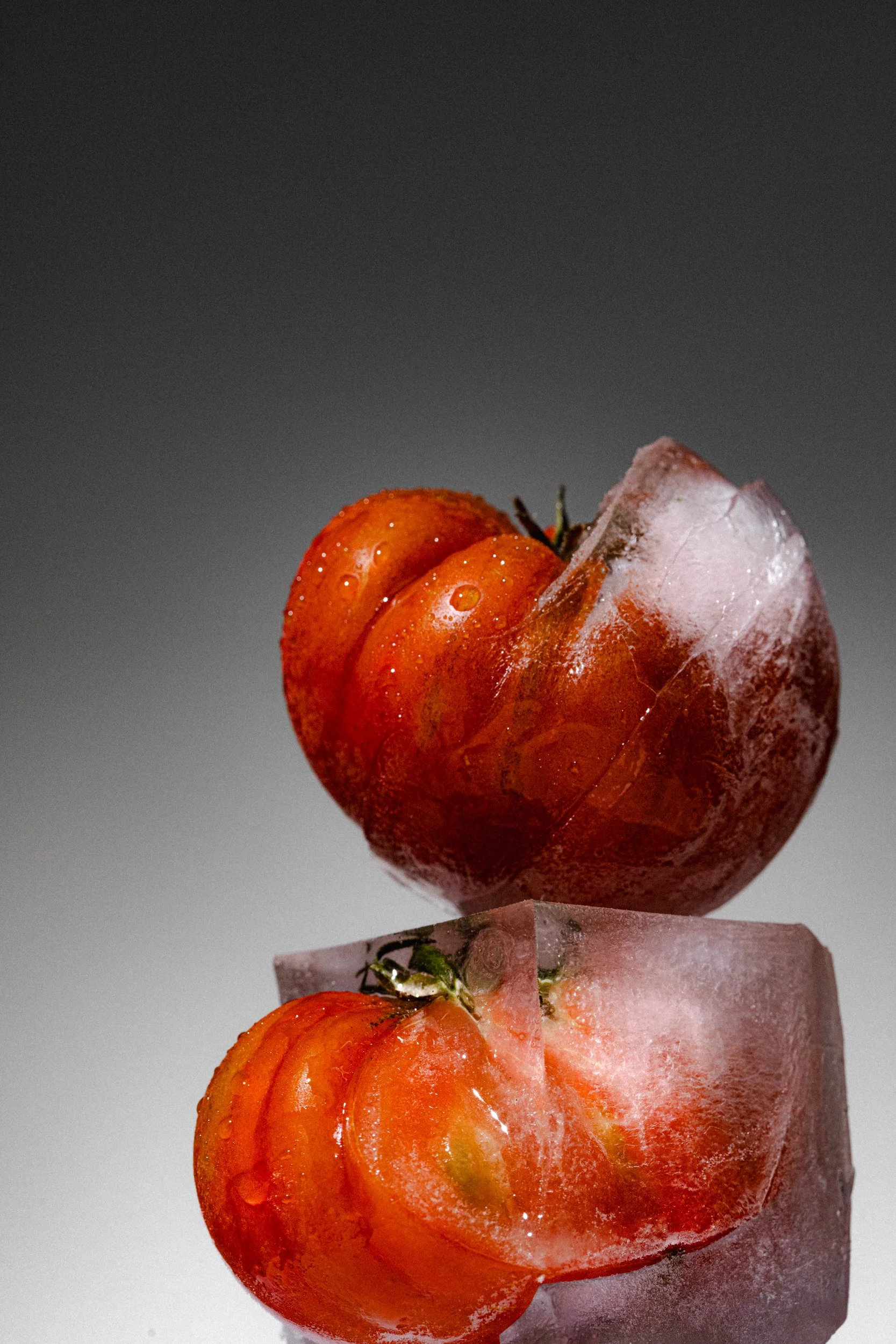 ICE_099-2.jpg
