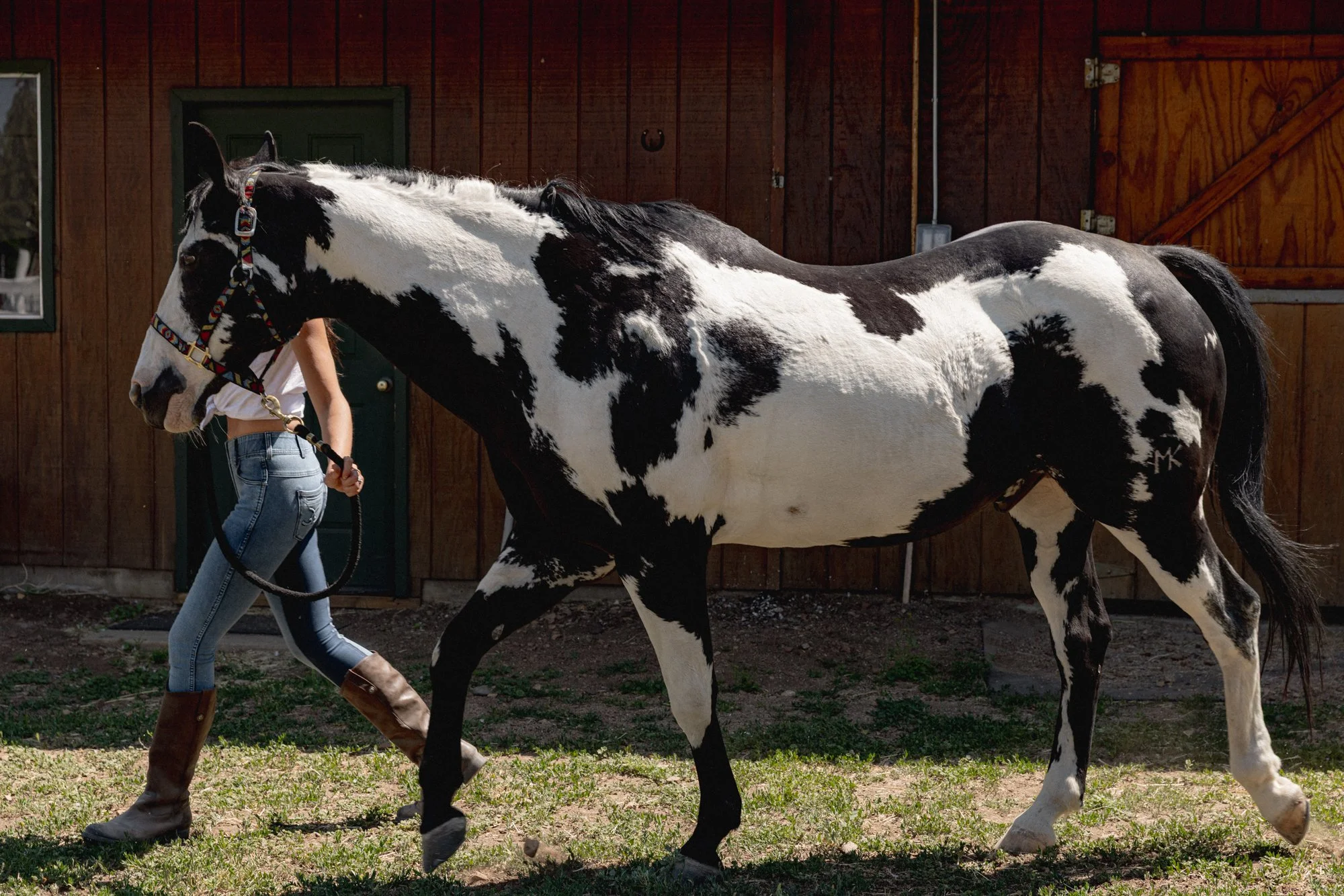 Ranch-49.jpg