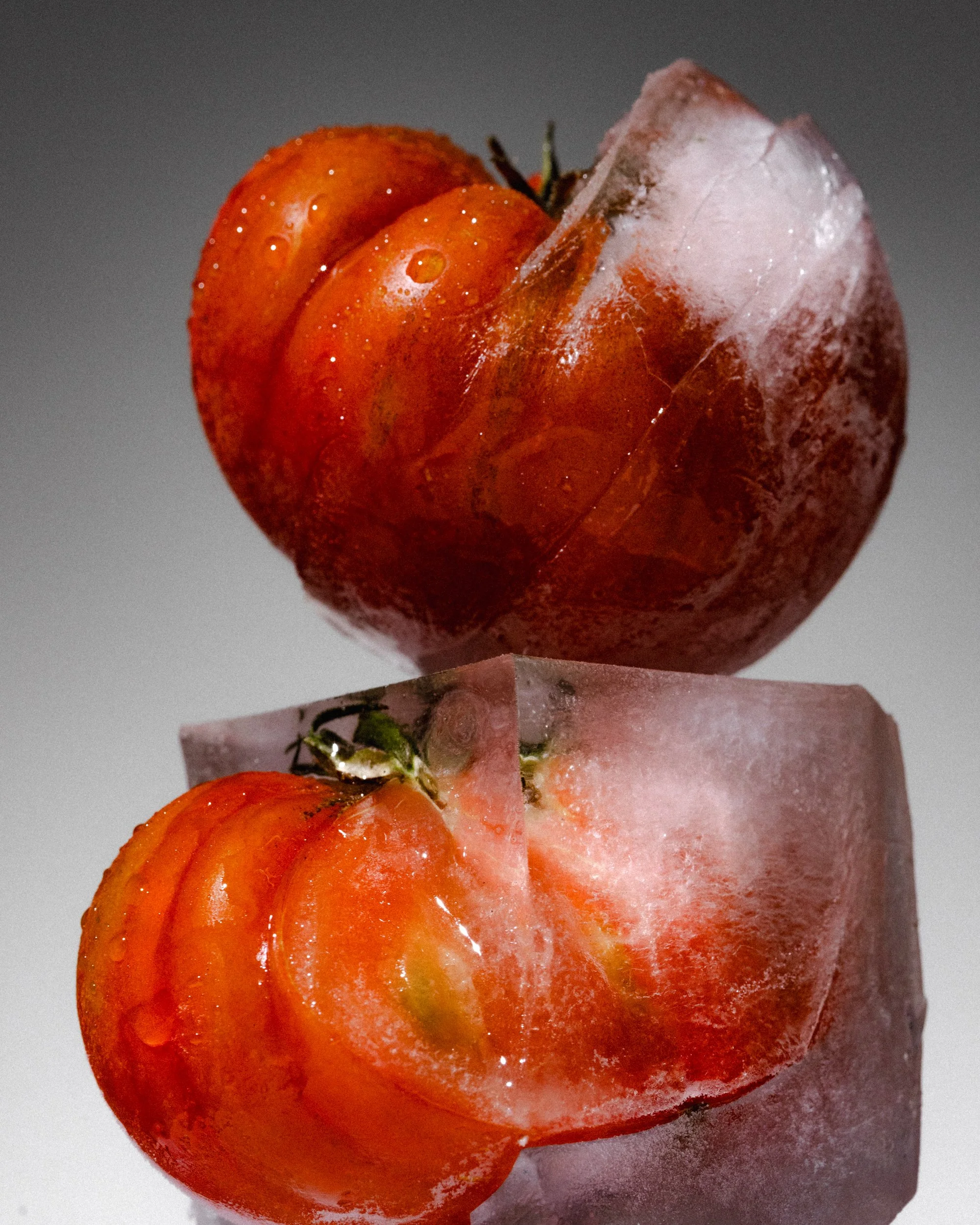 ICE_099.jpg