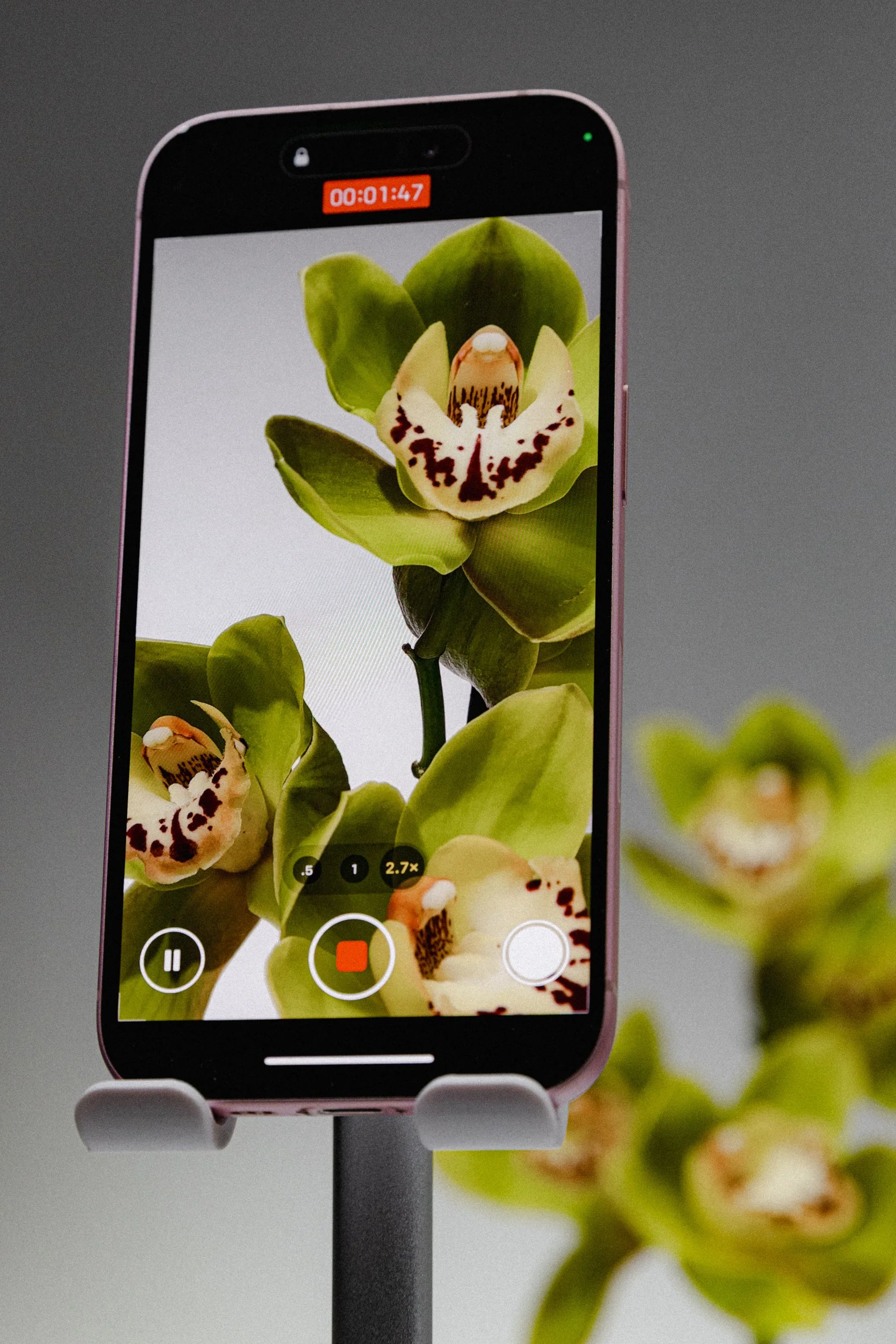 FLOWER_091.jpg