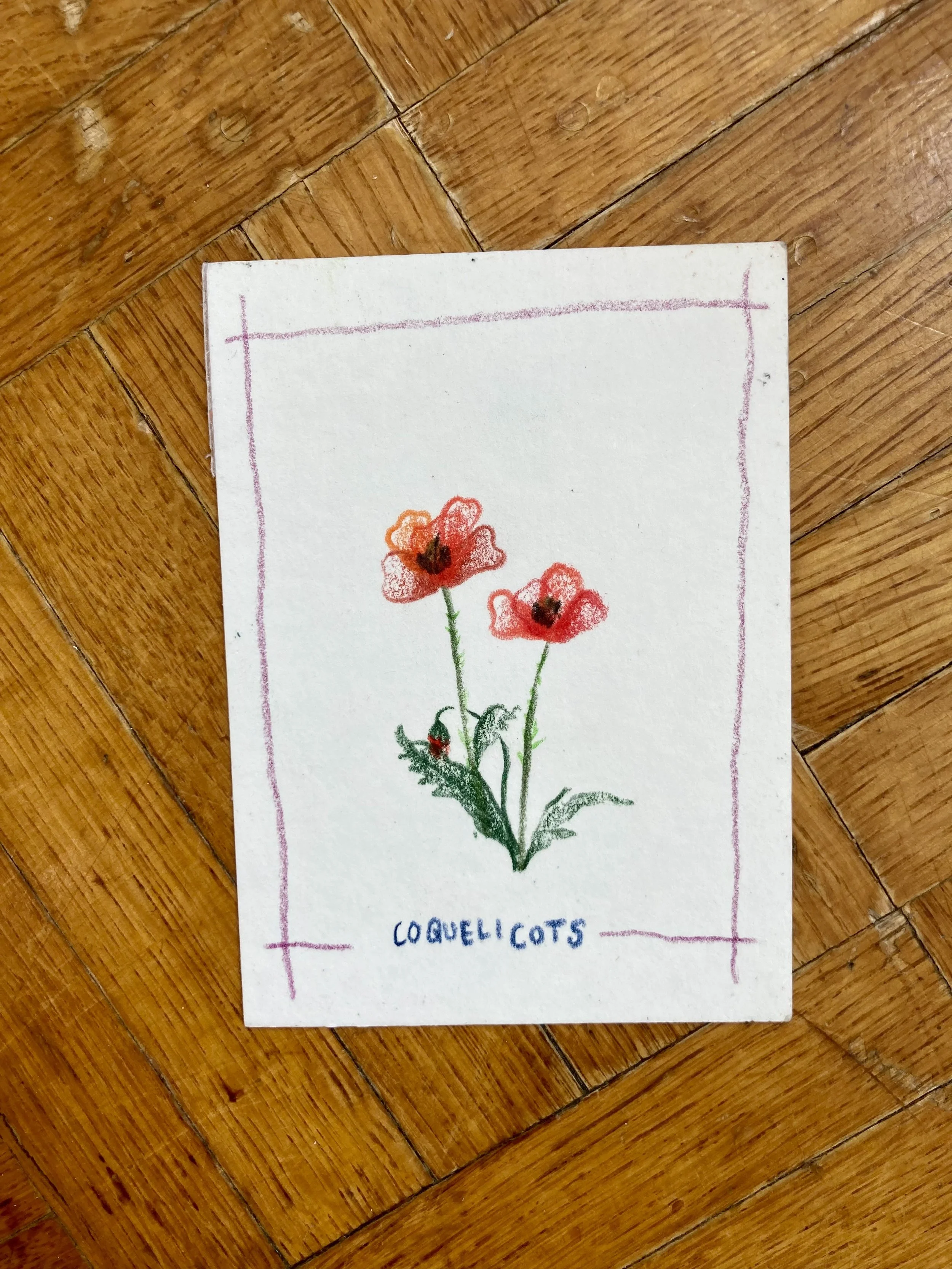 Mini Fleurs