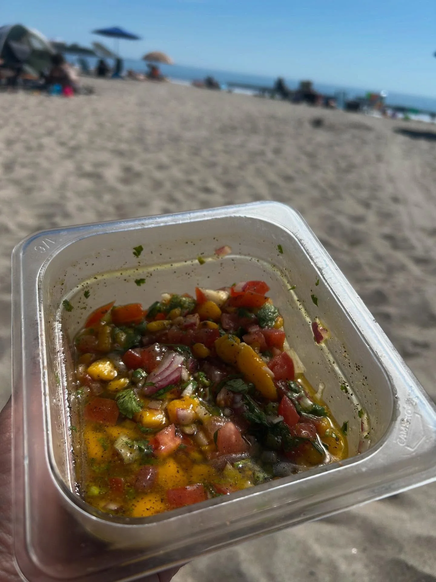 Summer is fleeting. 🦞🏝️

#summer #turksandcaicosislands #maine #newhampshire #mangosalsa #redsnapper #lostsupper #charcuterie #beachvibes
