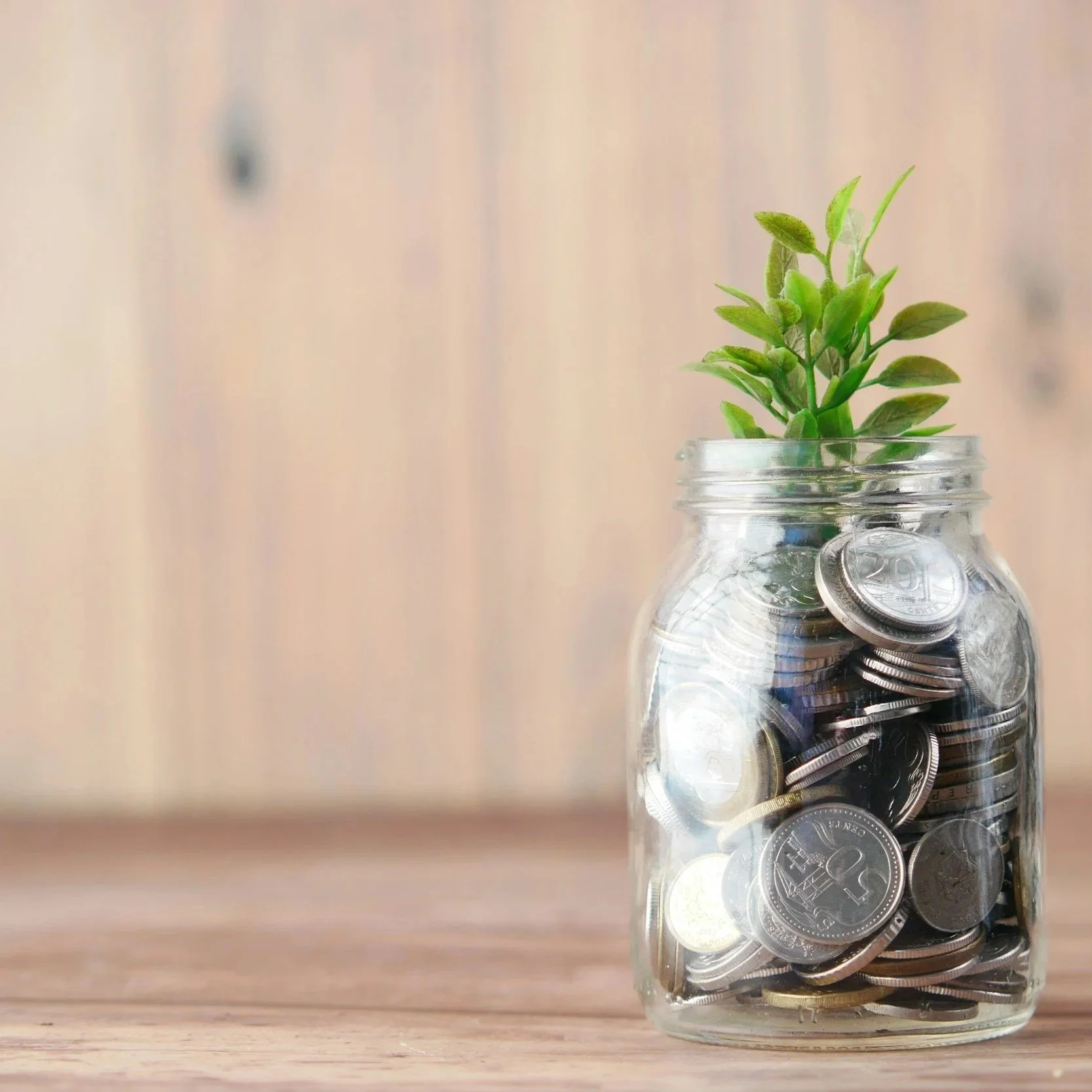 How profitable is my business?