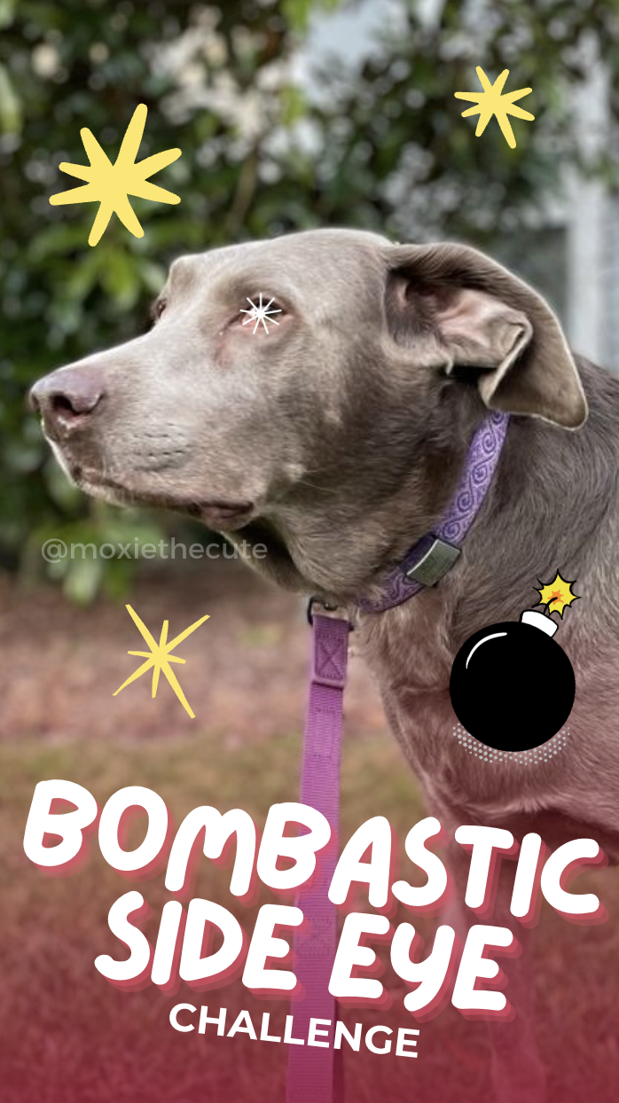 Screenshot 2026-01-20 at 9.31.04 PM.png