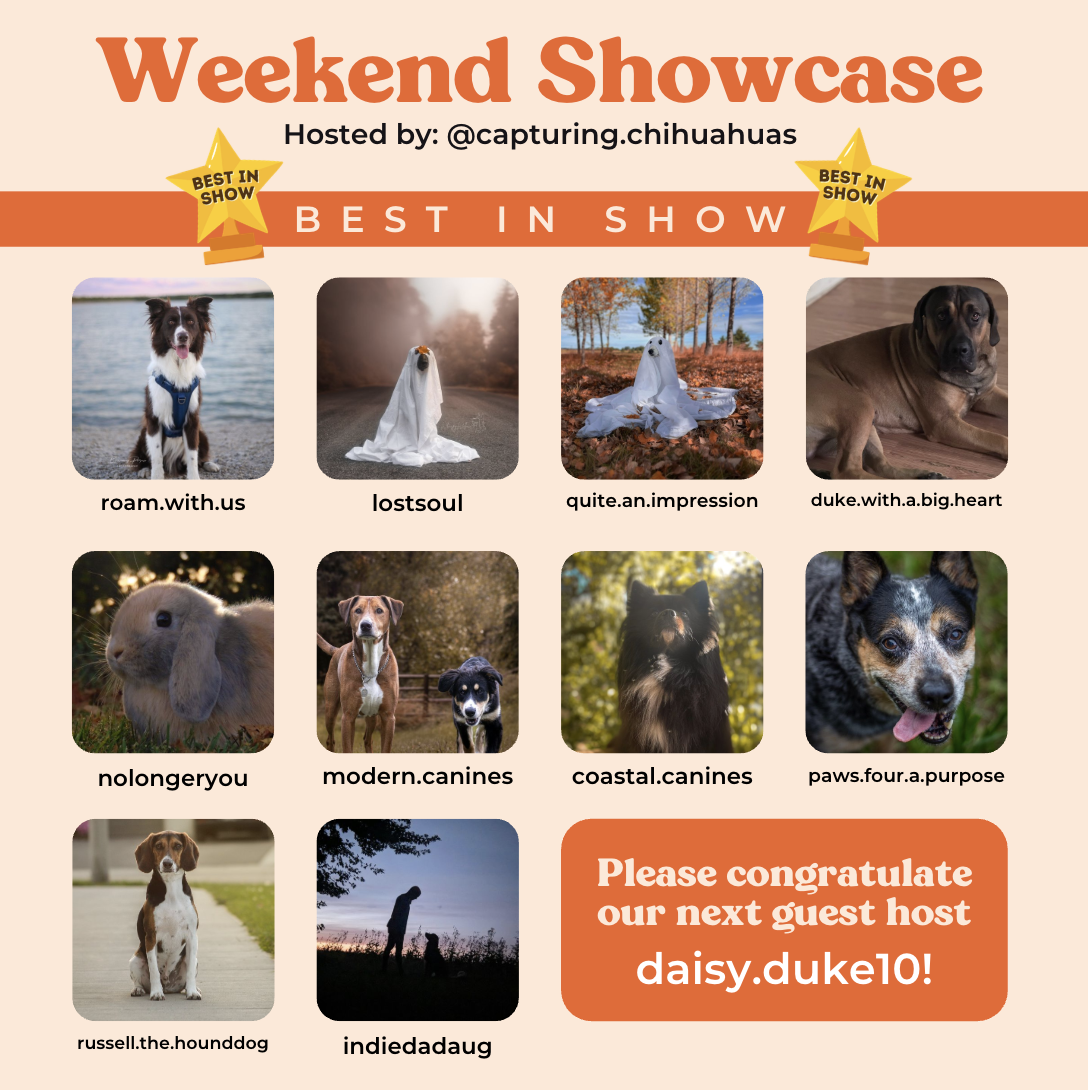 Screenshot 2026-01-20 at 10.16.49 PM.png